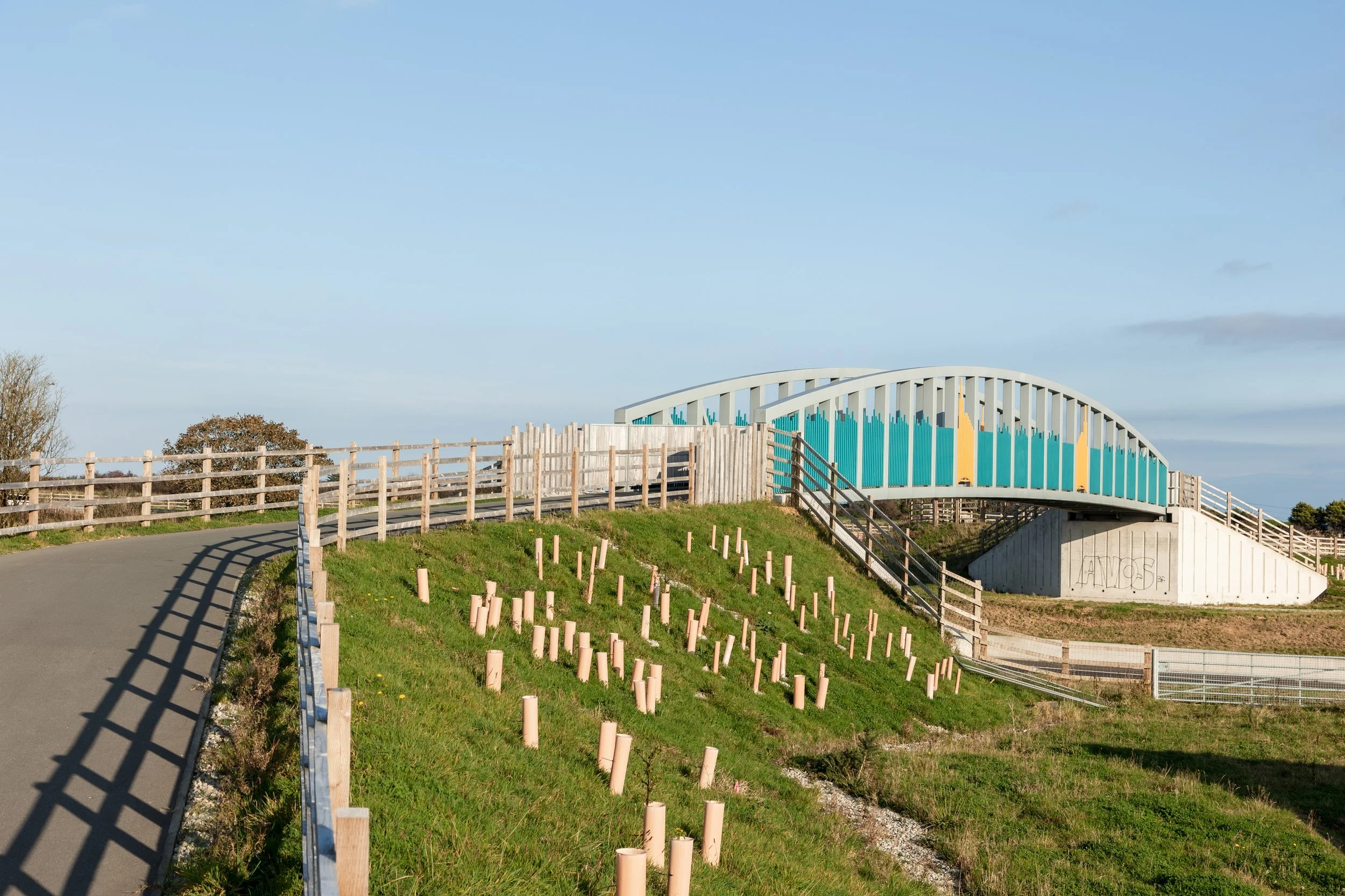 A modern pedestrian bridge with a curved design, blue and yellow accents, spans over a grassy slope with young tree plantings, surrounded by a wooden fence on a clear day.