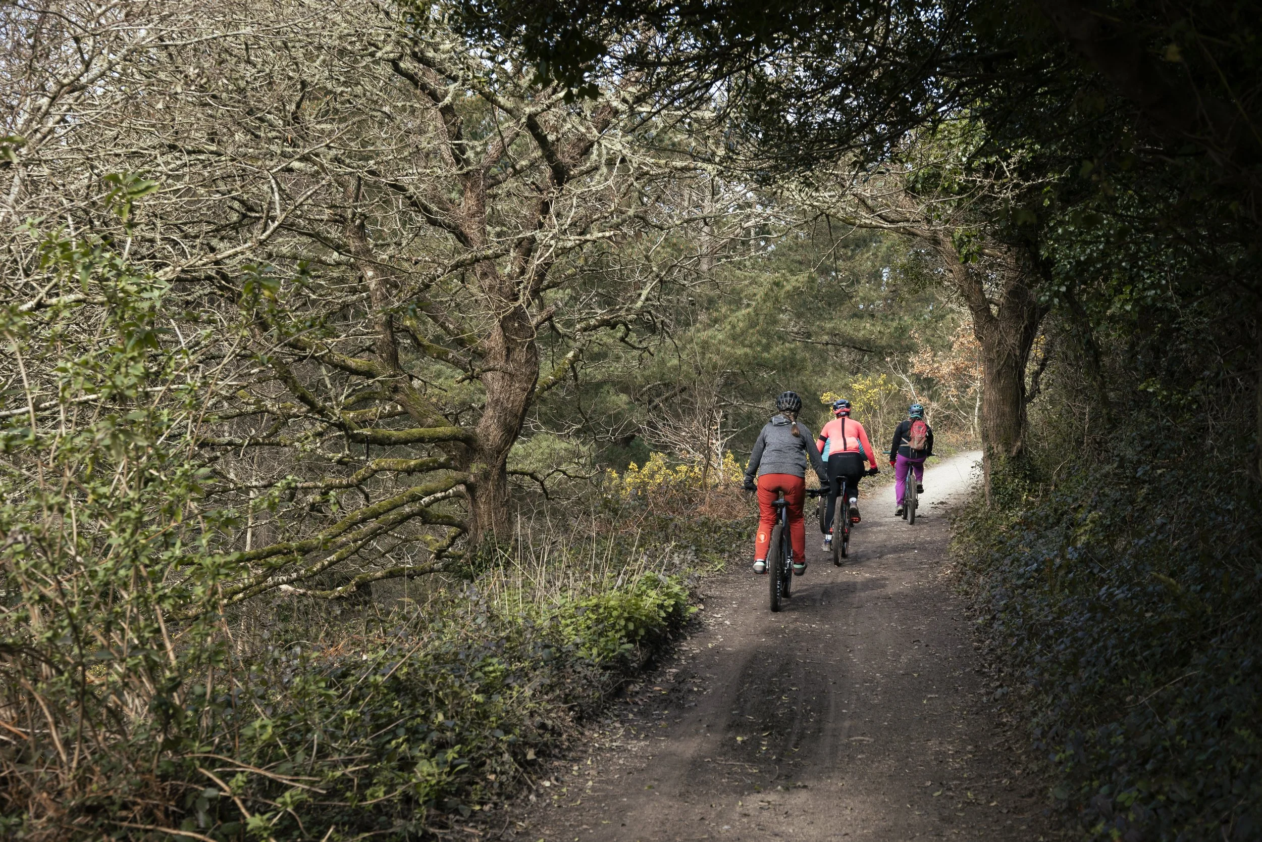 Four people riding bicycles on a forest trail surrounded by trees and foliage.
