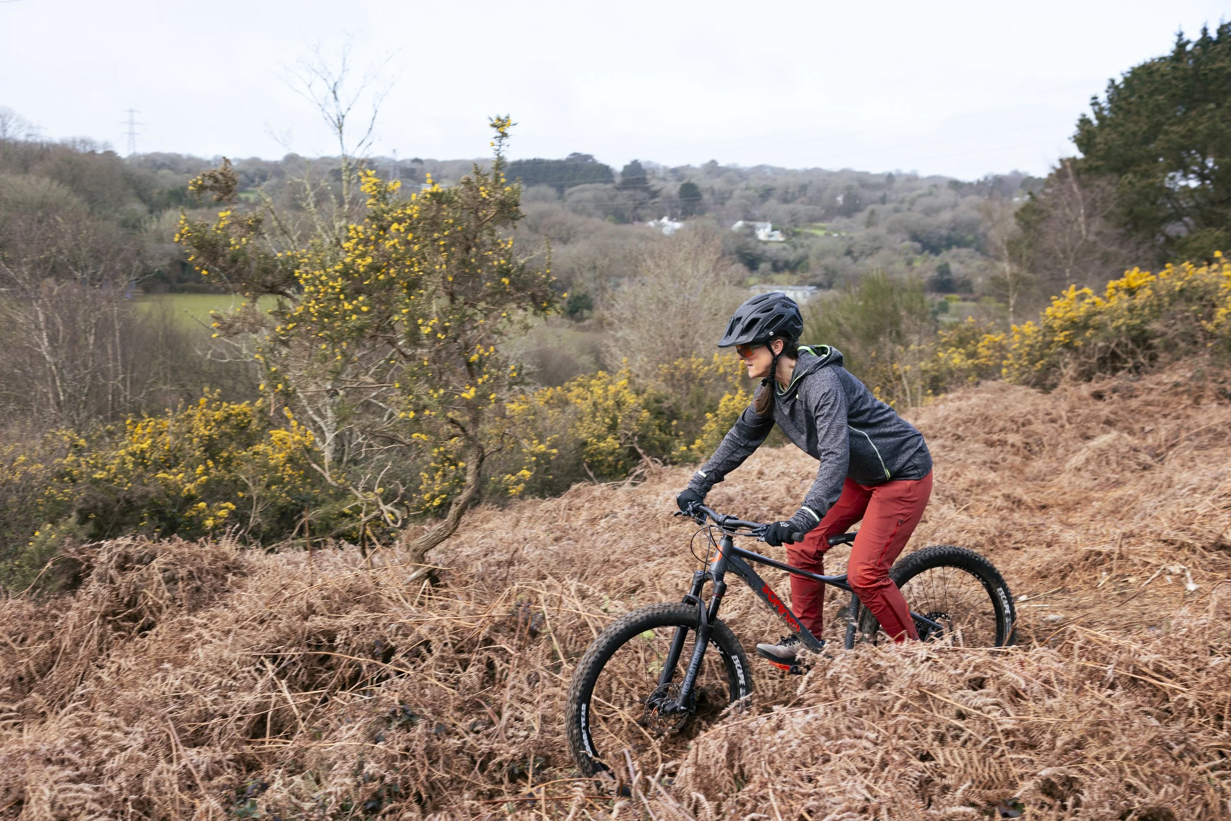 A person wearing a helmet, sunglasses, and a gray jacket riding a mountain bike on a trail surrounded by dry ferns and bushes with yellow flowers, in a hilly landscape with trees and distant houses.