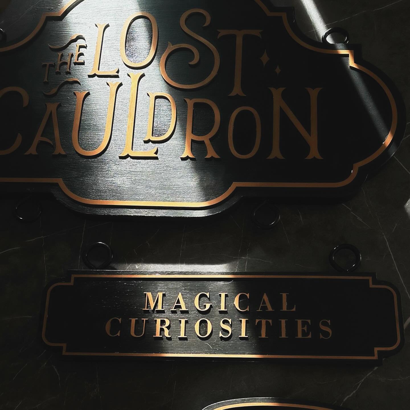 We&rsquo;re spending a lot of time this week on our renovations and our shop sign is almost complete&hellip; it&rsquo;s been handcrafted by @magicalshopkeeper - so it&rsquo;s full of magic! ✨ #TheLostCauldron