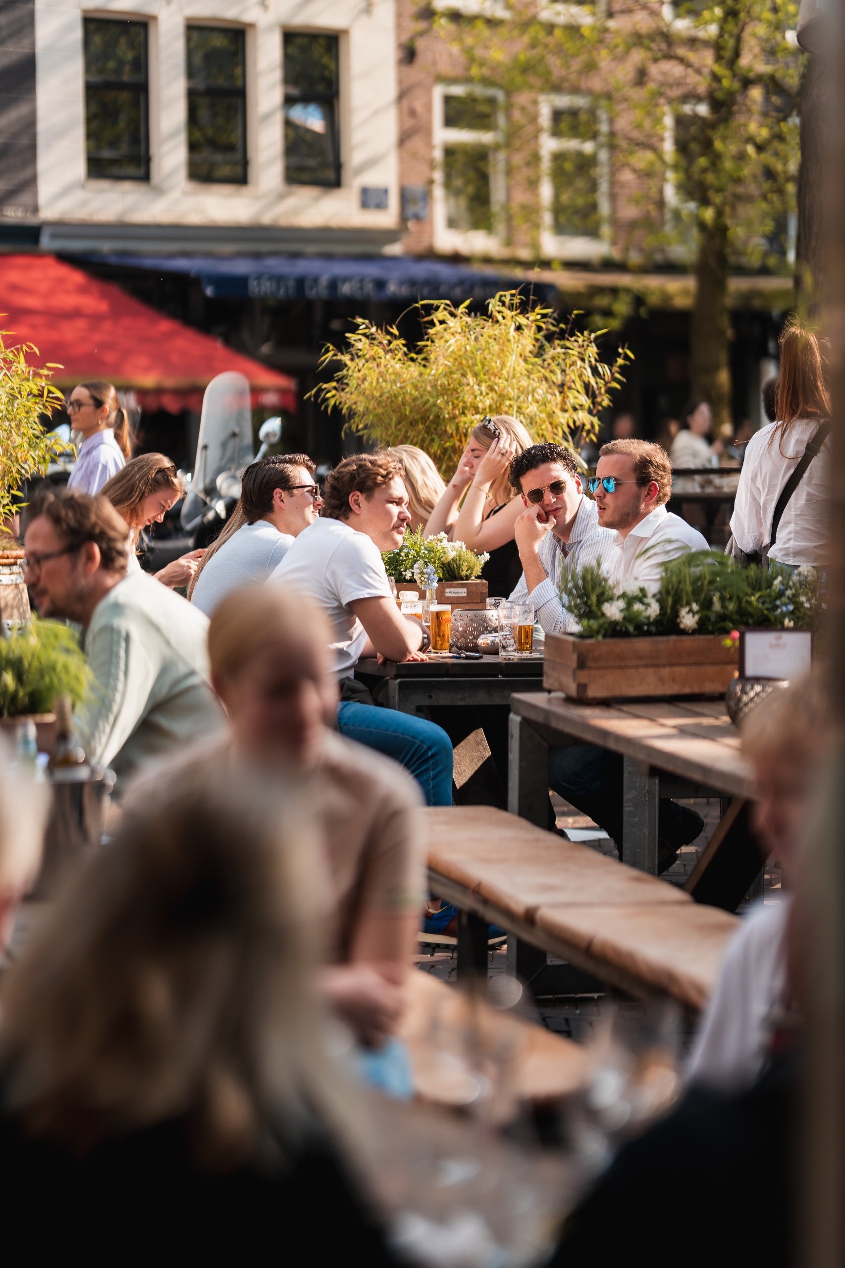 Het terras Het Paardje.jpeg