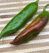 ms. junie hatch chili.webp