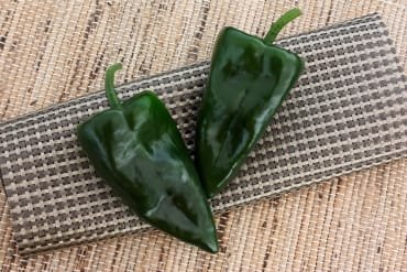'Trident' Ancho/Poblano