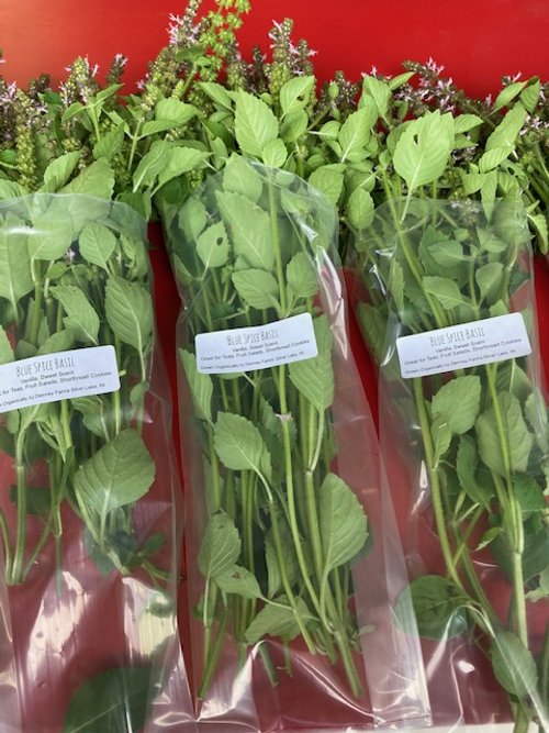 Blue SPice Basil fresh.jpeg