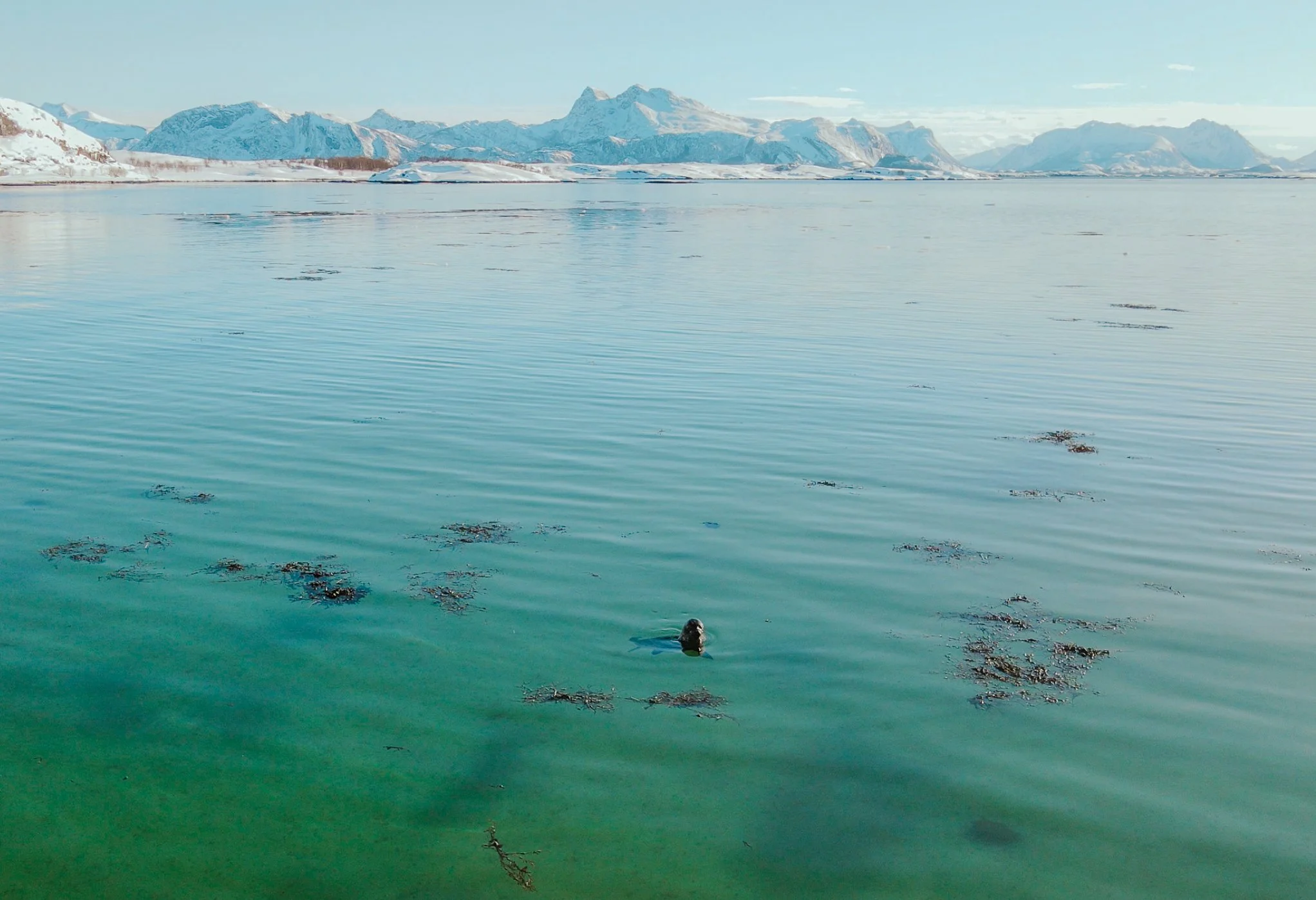 Vinterpadling i kajakk pa Stott i Meloy_Emilie Solbakken _ Visit Helgeland_21244642.JPG