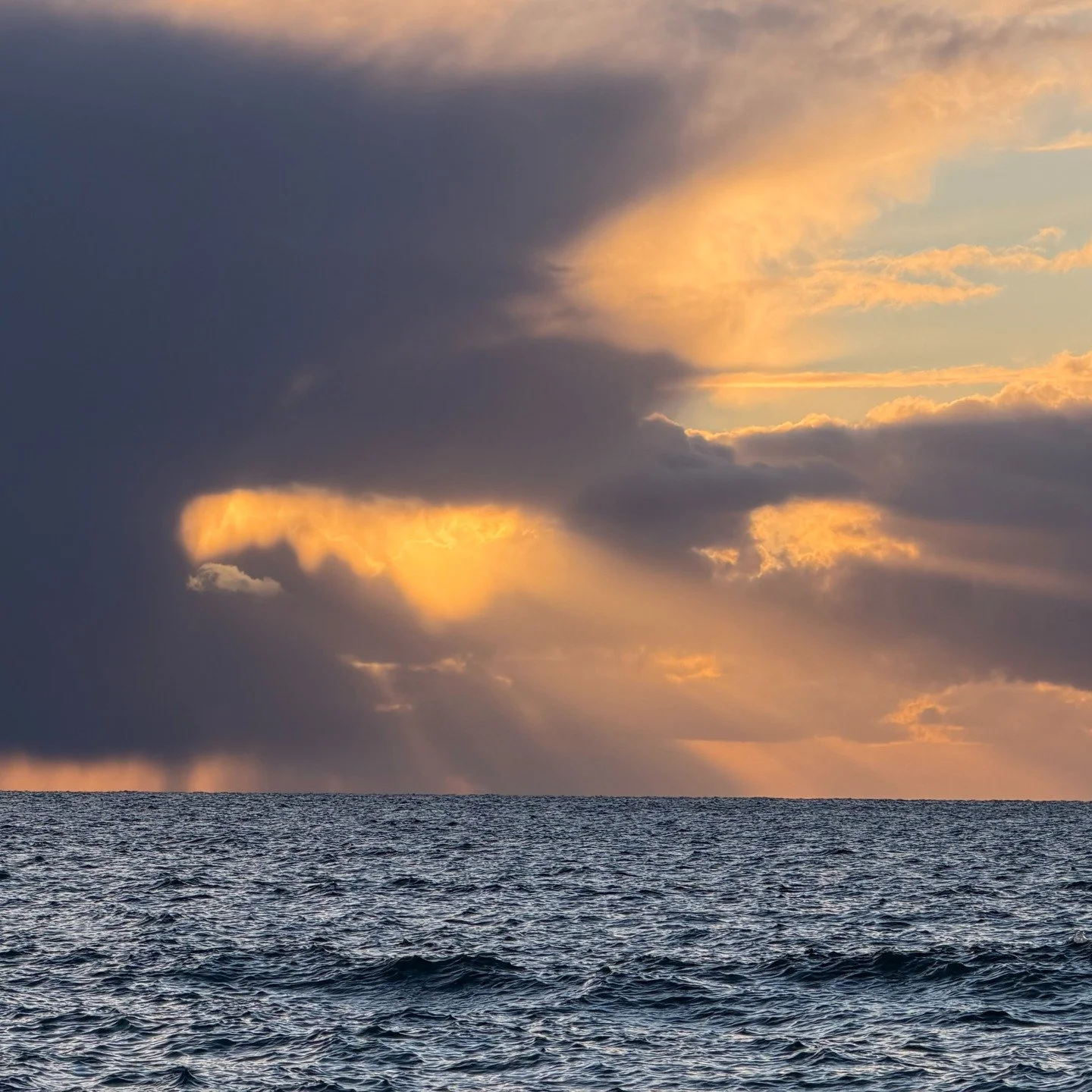 To my wonderful Cornwall community,

I&rsquo;m writing this to share a shift in how I&rsquo;ll be connecting with you all. For reasons I won't go into here, I am reluctantly choosing to step away from social media for the time being.

This will be my