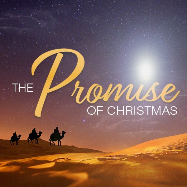 The Promise of Christmas.jpeg
