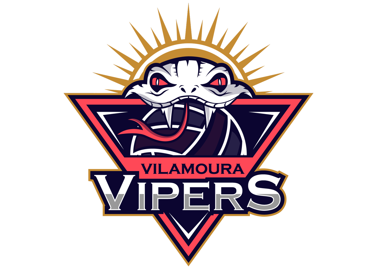 Vipers Netball Club