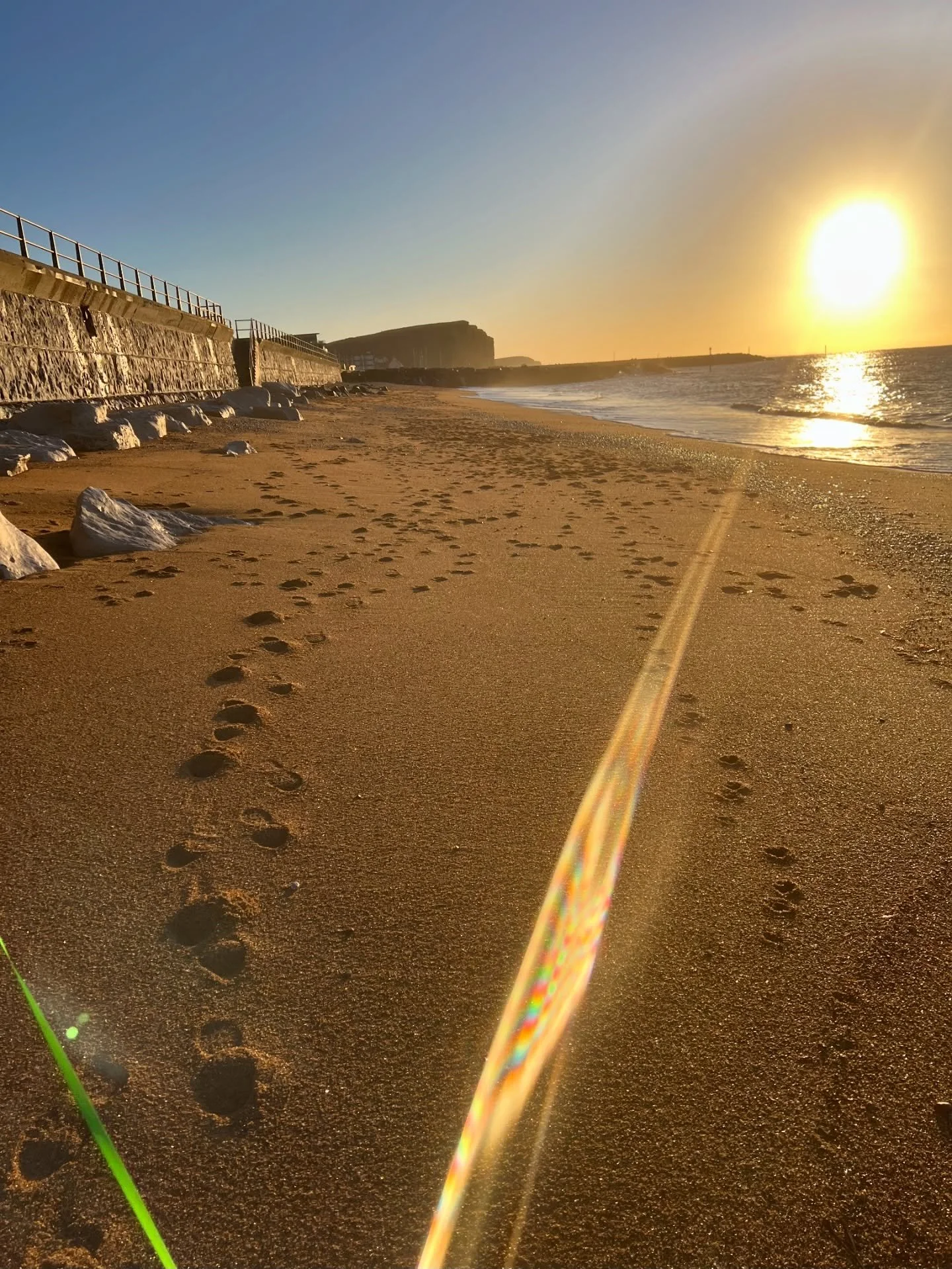 What a lovely day we had today, starting off with a beautiful walk this morning with the kids (furry ones) down to West Bay, it was so quiet on the beach and the sunshine was warming up chilly bones. 

Then back to work and finally getting my tulips 