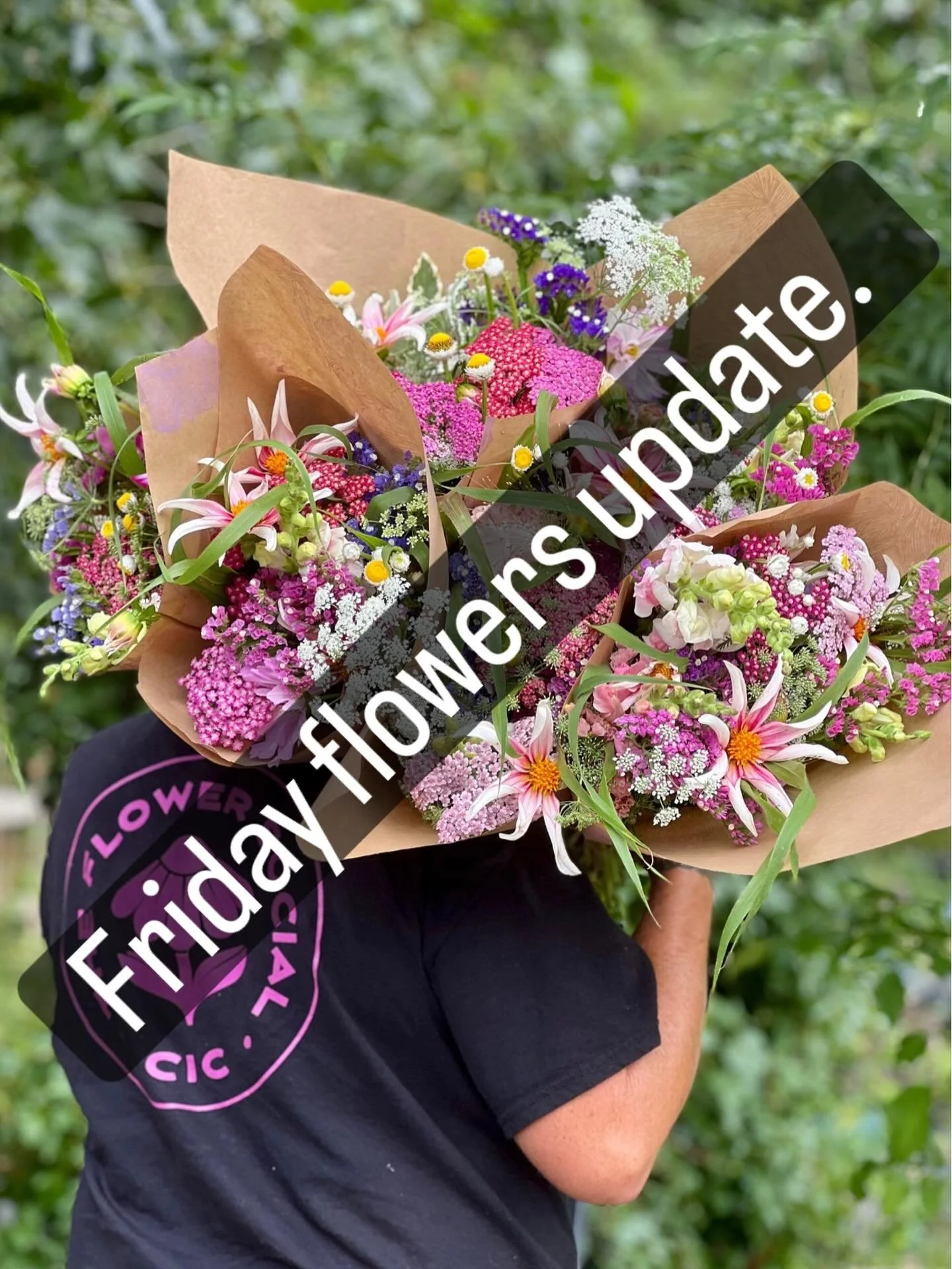 Apologies but Friday flowers will be delayed to Saturday this week. I had to work yesterday (on my other job) and so was delayed in picking fresh flowers for all you lovely people. 

There will be a few bunches tomorrow but I will also be at Puncknow