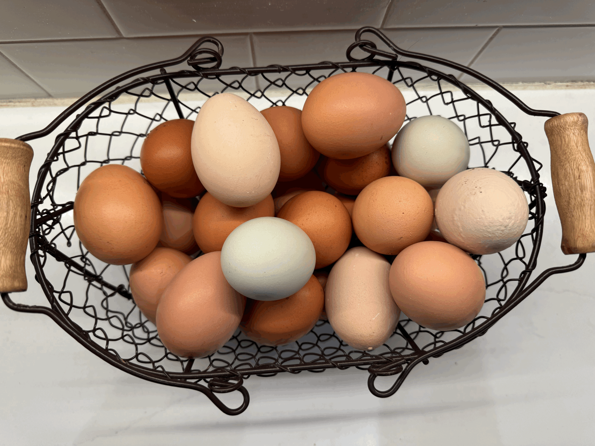Farm Fresh Eggs