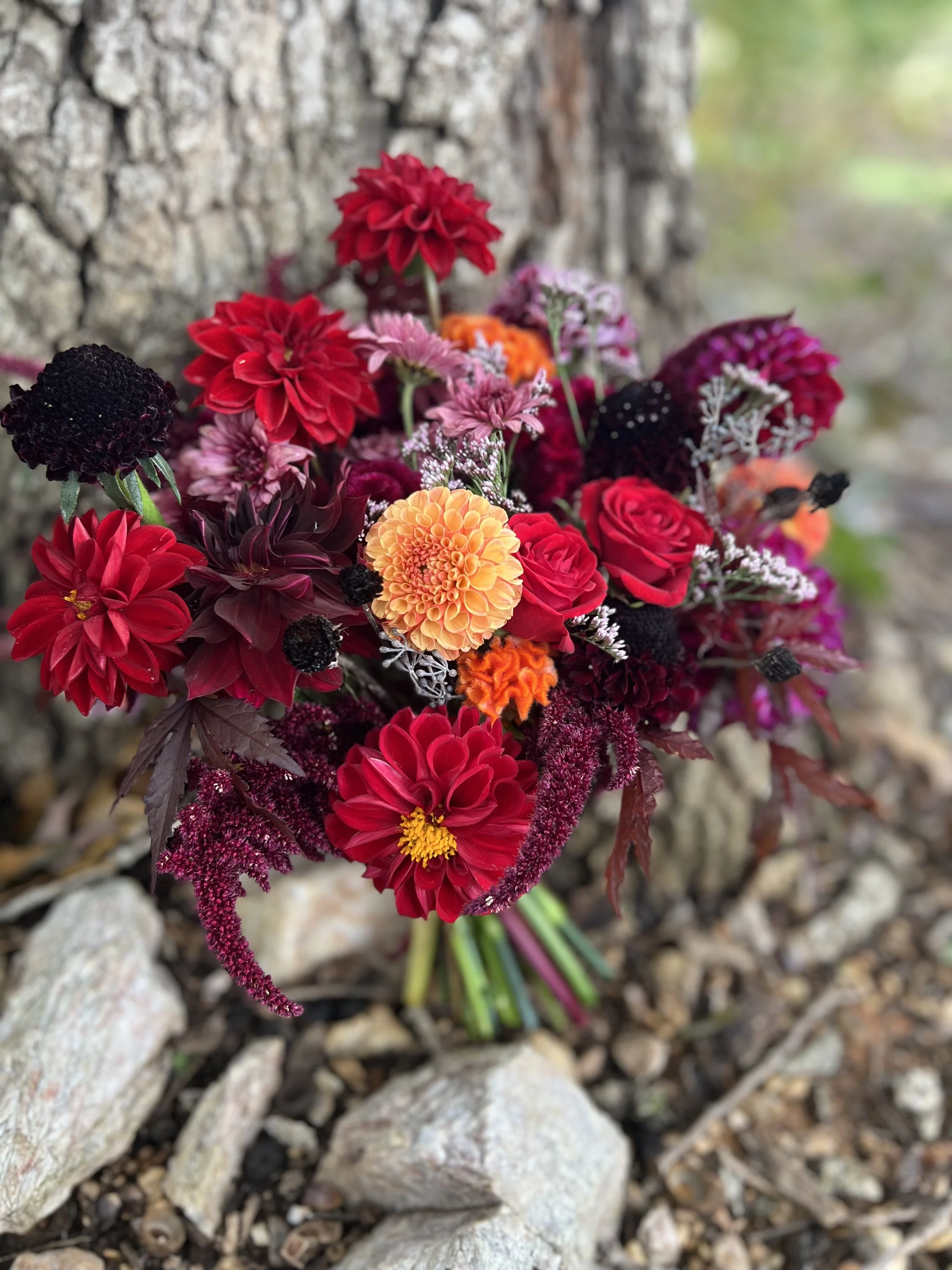 deeply colorful bridal bouquet from buck naked farm, nc