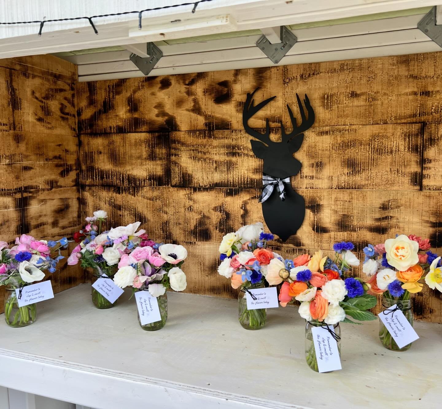 The flower stand is open with some of our first blooms of the season. The peach and blues have me swooning right now! 

Our roadside stand is open 10-4 Saturdays and Sundays (or until sold out). 

Be sure to join our email list for insider news. Big 