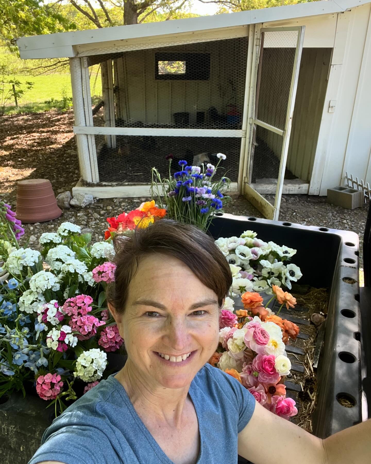 It&rsquo;s been a while since I&rsquo;ve done an introduction post &hellip; Hi, I&rsquo;m Jennifer, your local flower source in Pittsboro and SW Wake County. I like cilantro, crystallized ginger and stovetop popcorn. And dark chocolate.

Flowers grad