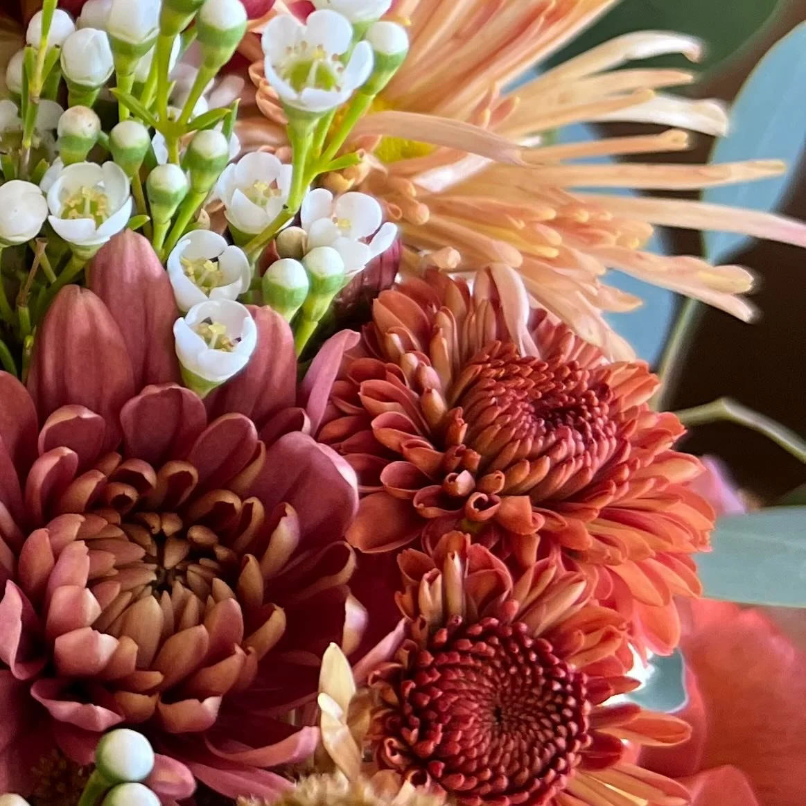 Hey Maggie - These fall days are creating some beautiful colors for you! I hope you are excited for an amazing weekend! 

#fallflowers #fallweddingflowers #rust #ncweddingflowers #chapelhillnc #Pittsboronc #chathamcountync #barnweddingdecor #chrysant