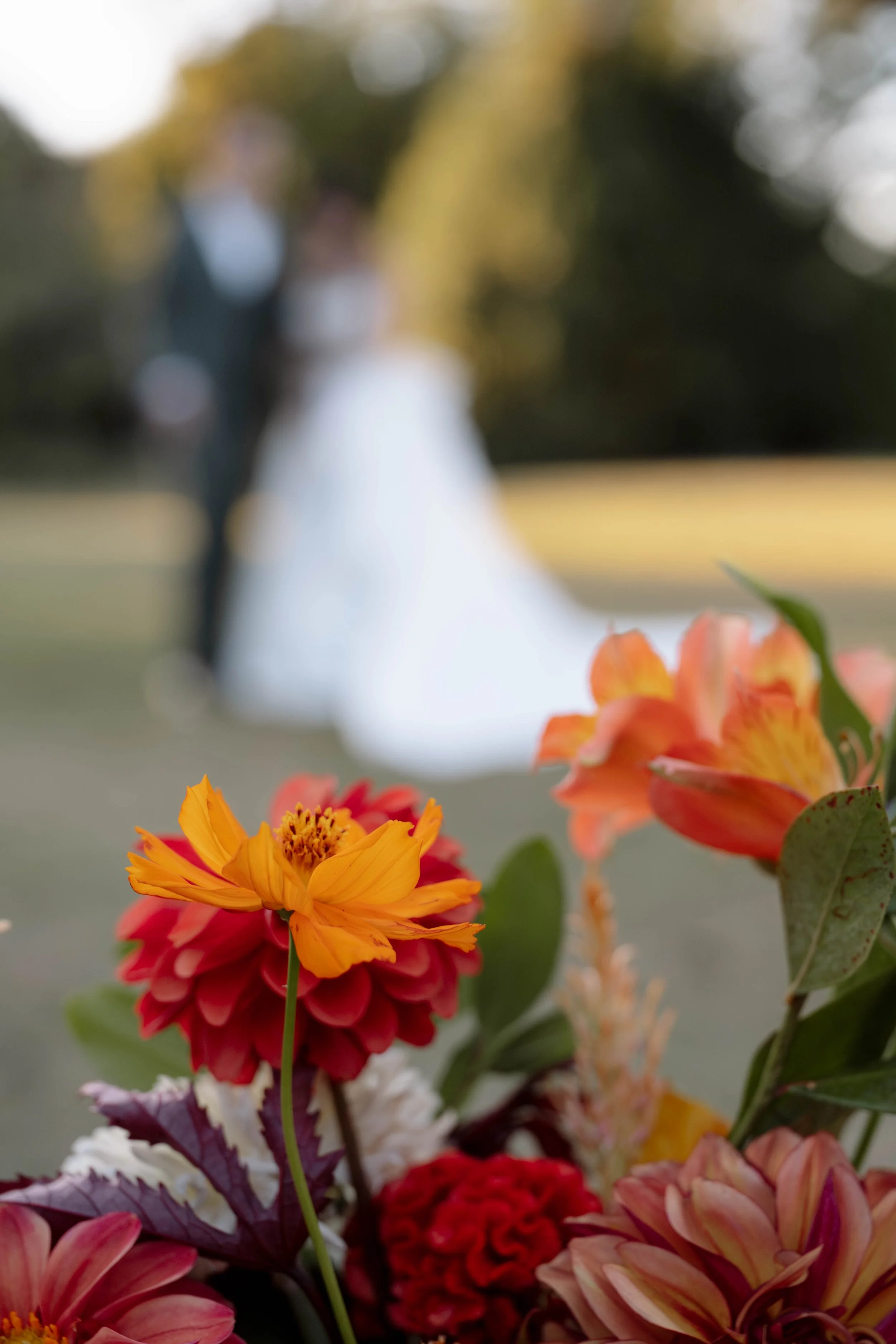 Seasonal fall wedding flowers at JC Raulston Arboretum in Raleigh, NC