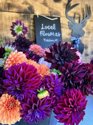 Buck Naked Farm| Pittsboro Flower Farm