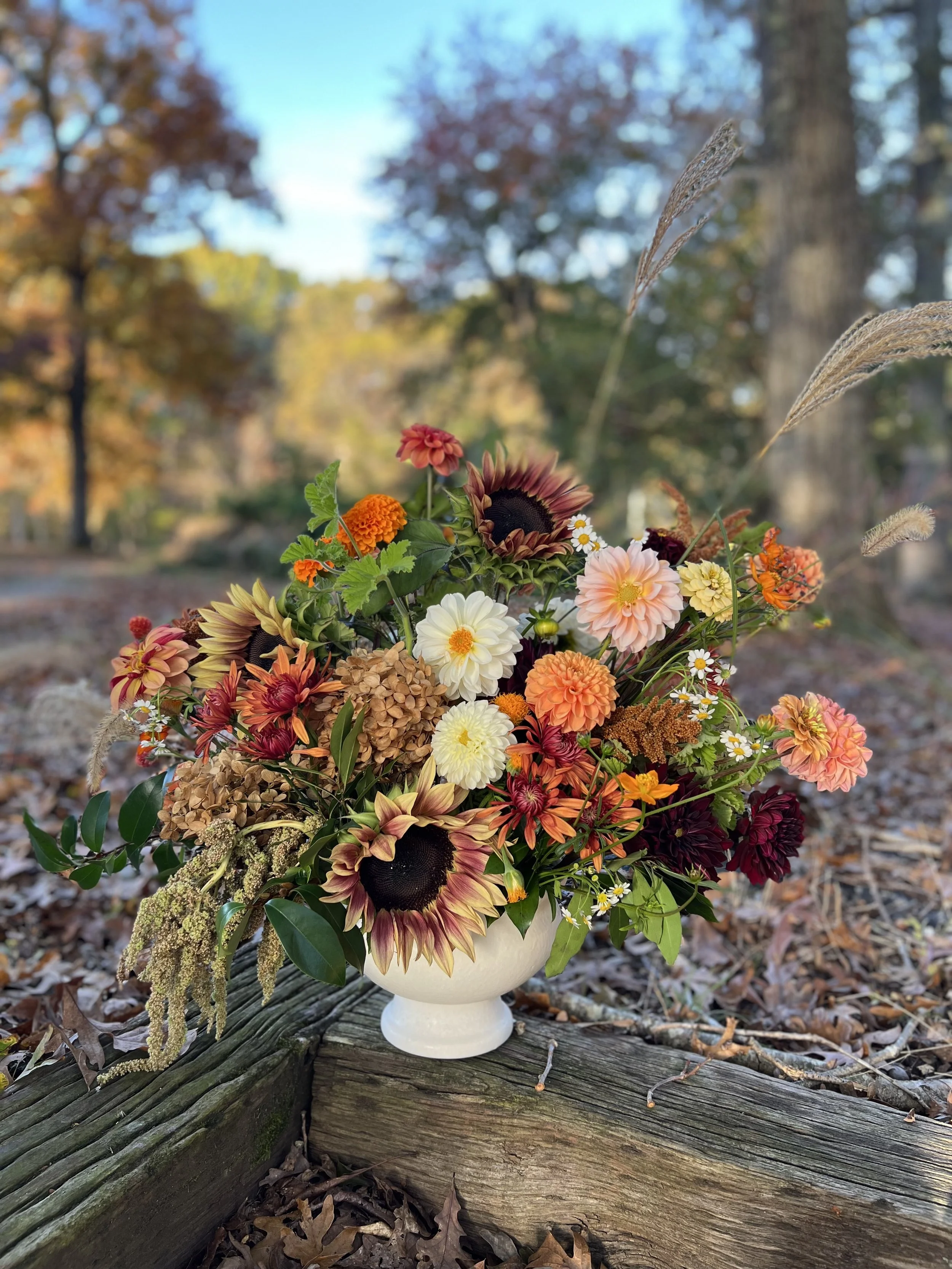 Colorful autumn flower bouquet in a white vase outdoors on a wooden log with fallen leaves and trees in the background.