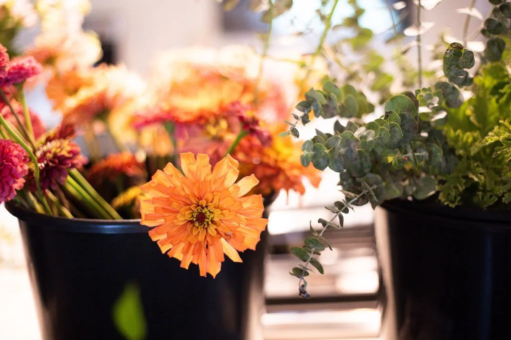 DIY + Design wedding flower buckets with summer zinnias