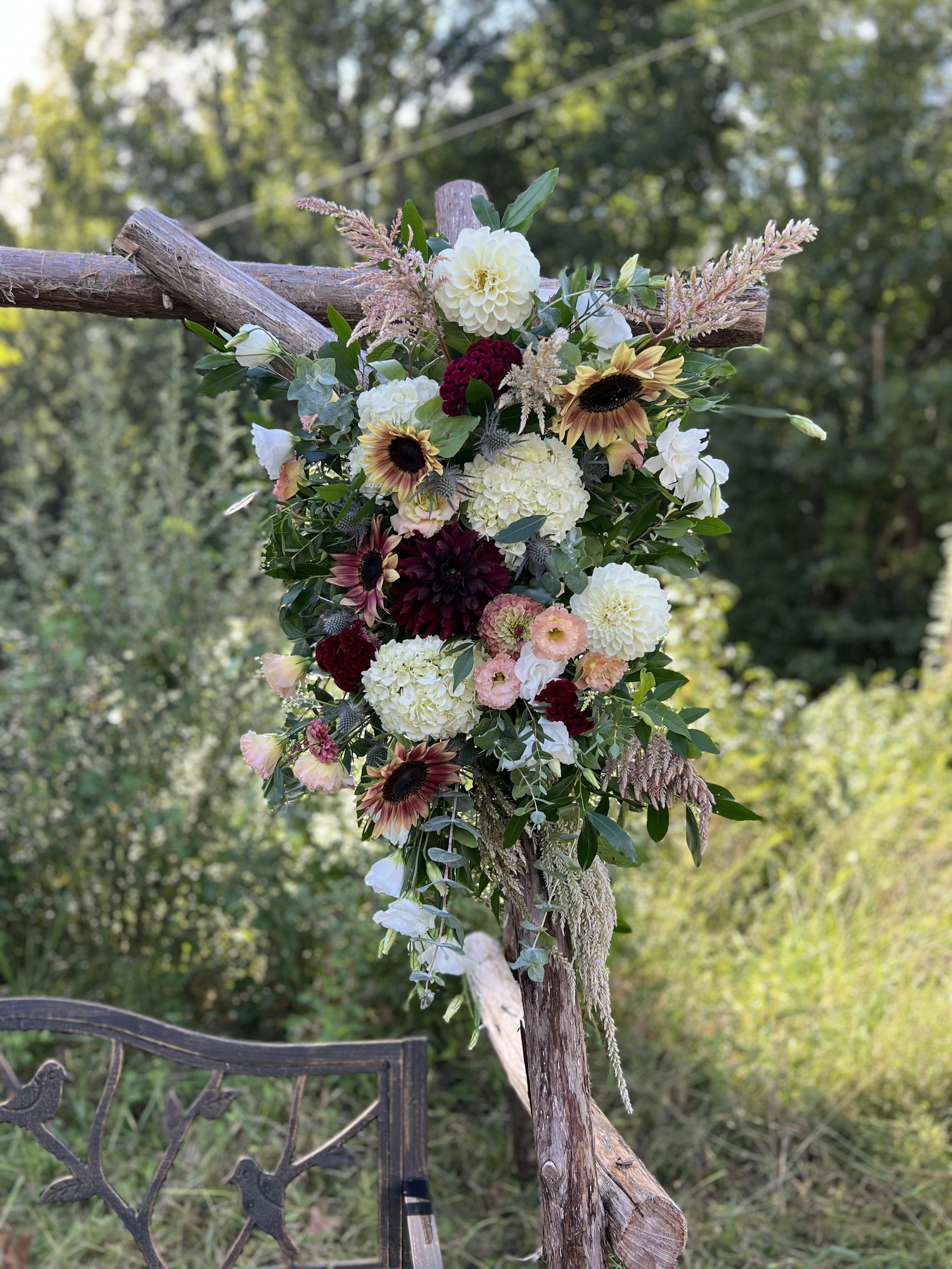 Blush and burgundy dahlia arbor