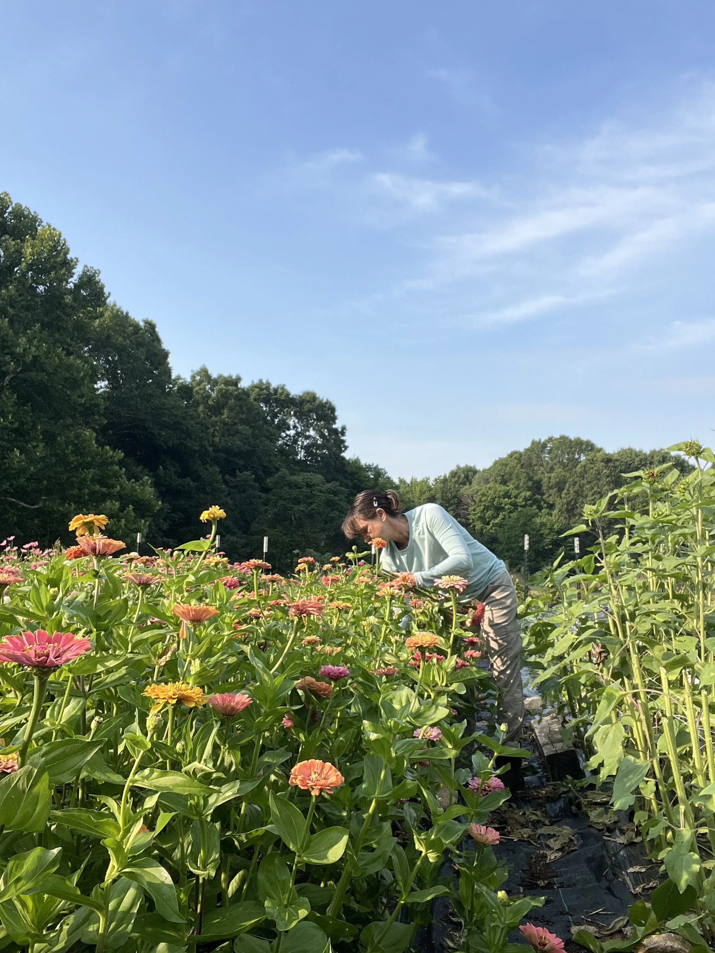 NC flower farm wedding flowers