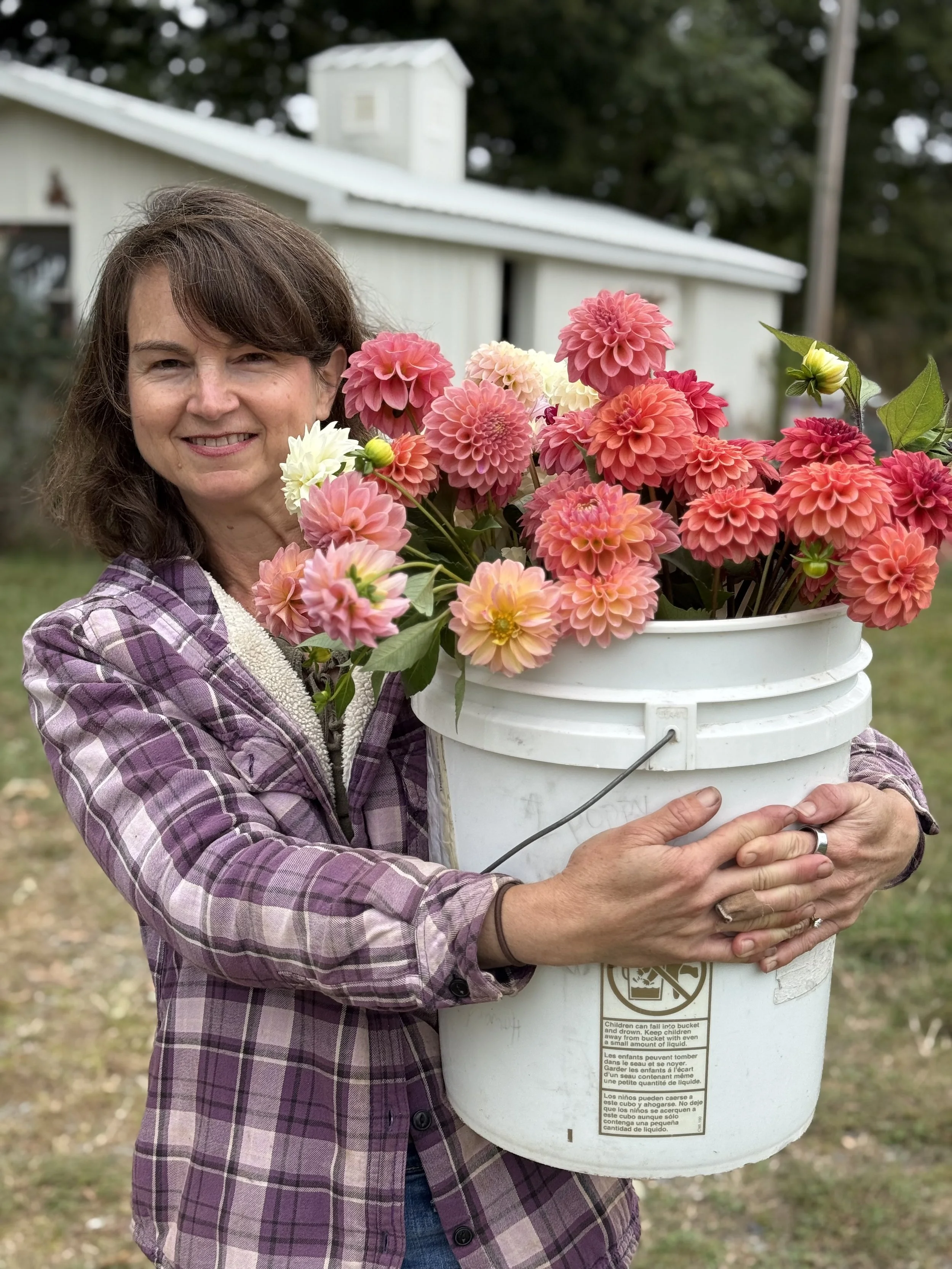 A woman holding a large white bucket of pink and peach dahlias outdoors, smiling at the camera, with a white building and trees in the background.