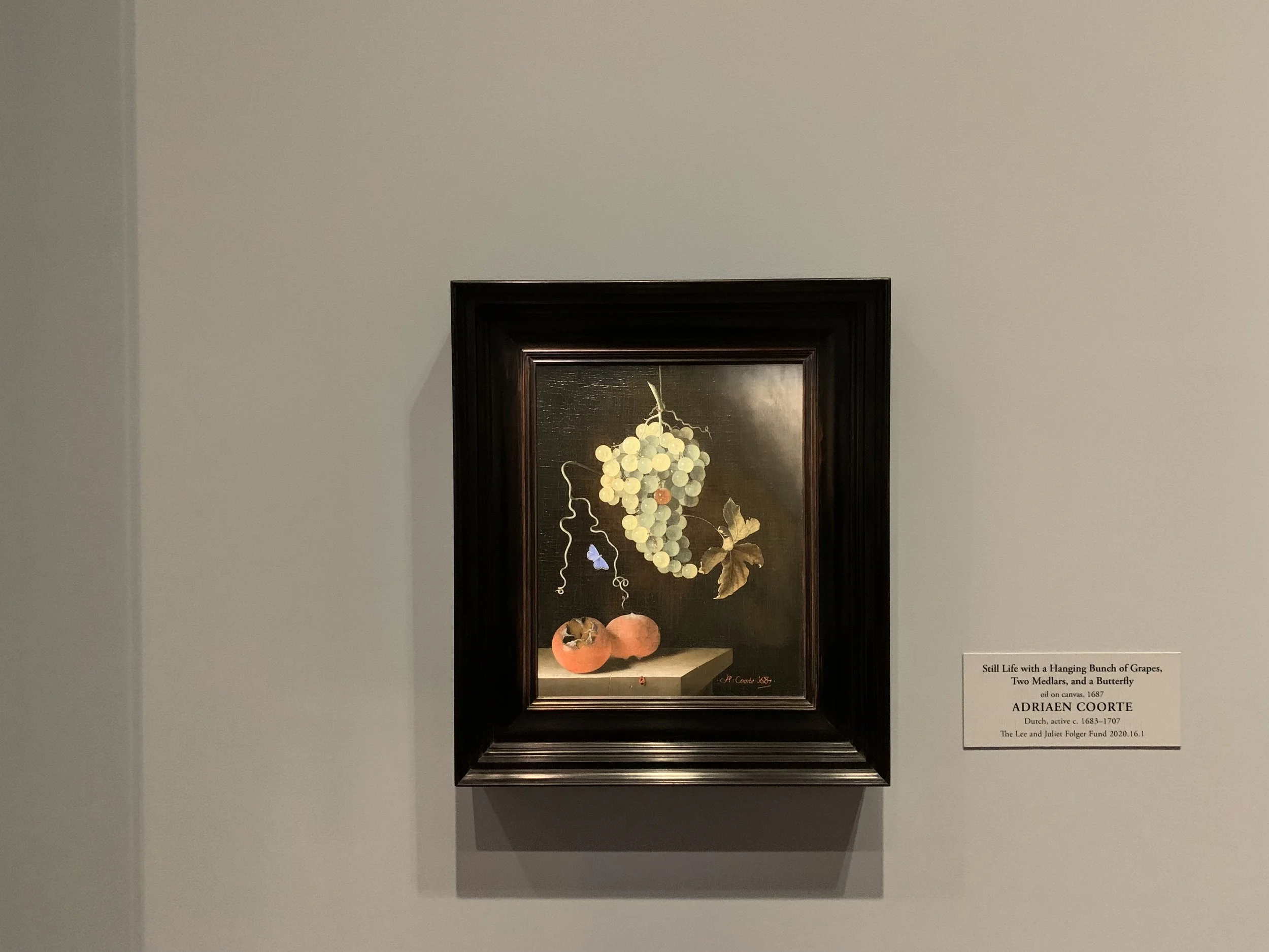 IMG_3080.jpeg