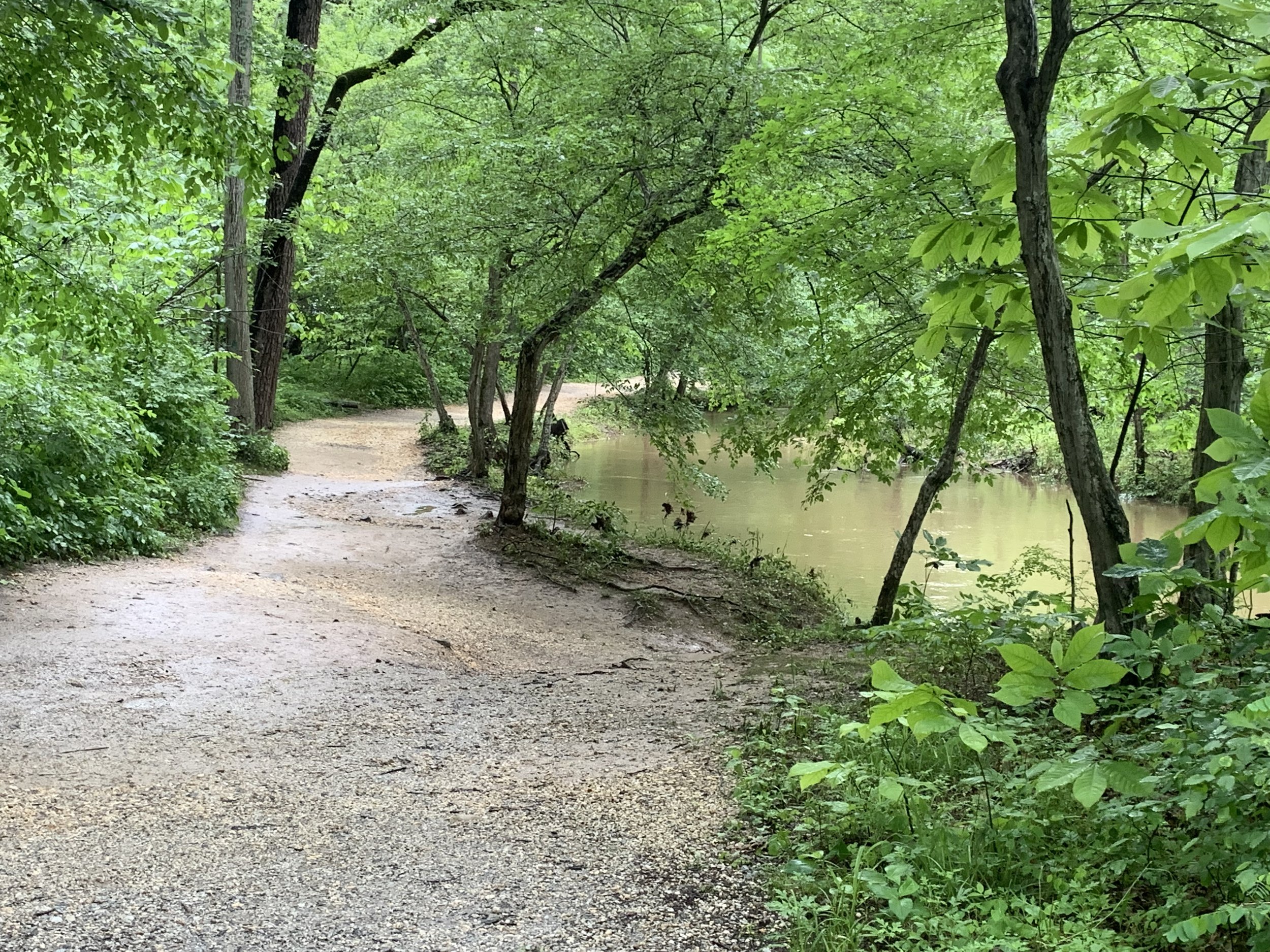 Visiting Great Falls Park