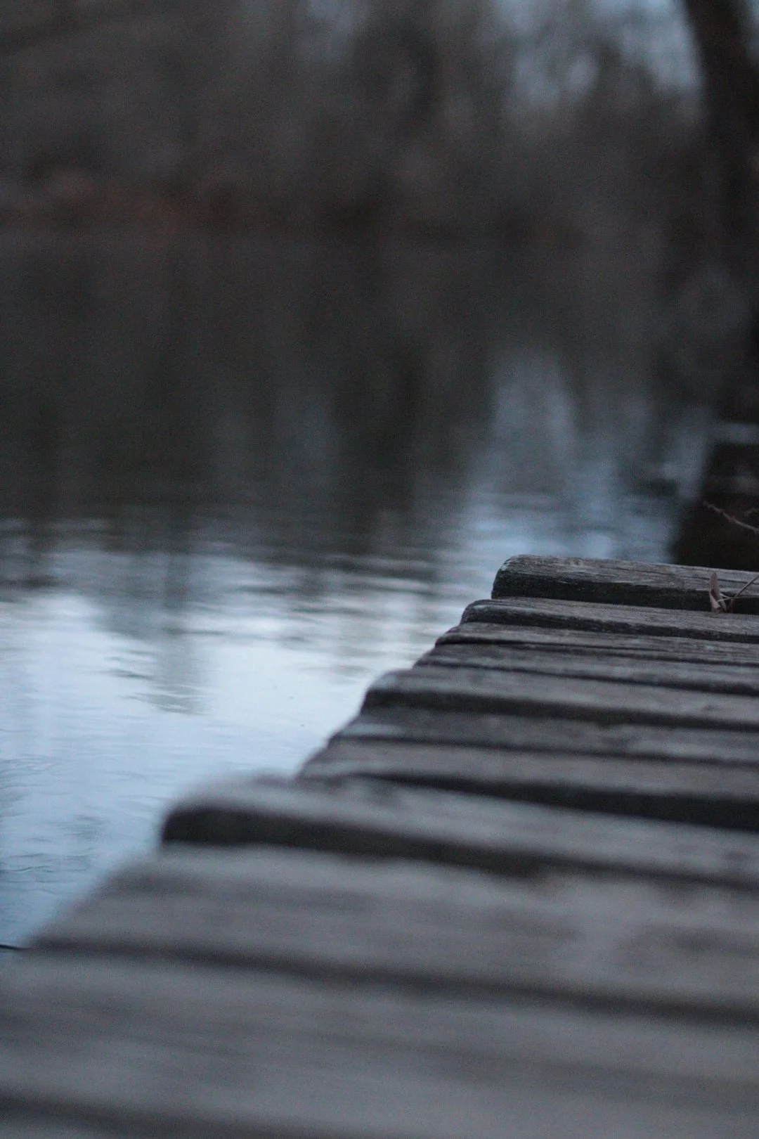 Princeton University Lake - Night Fall