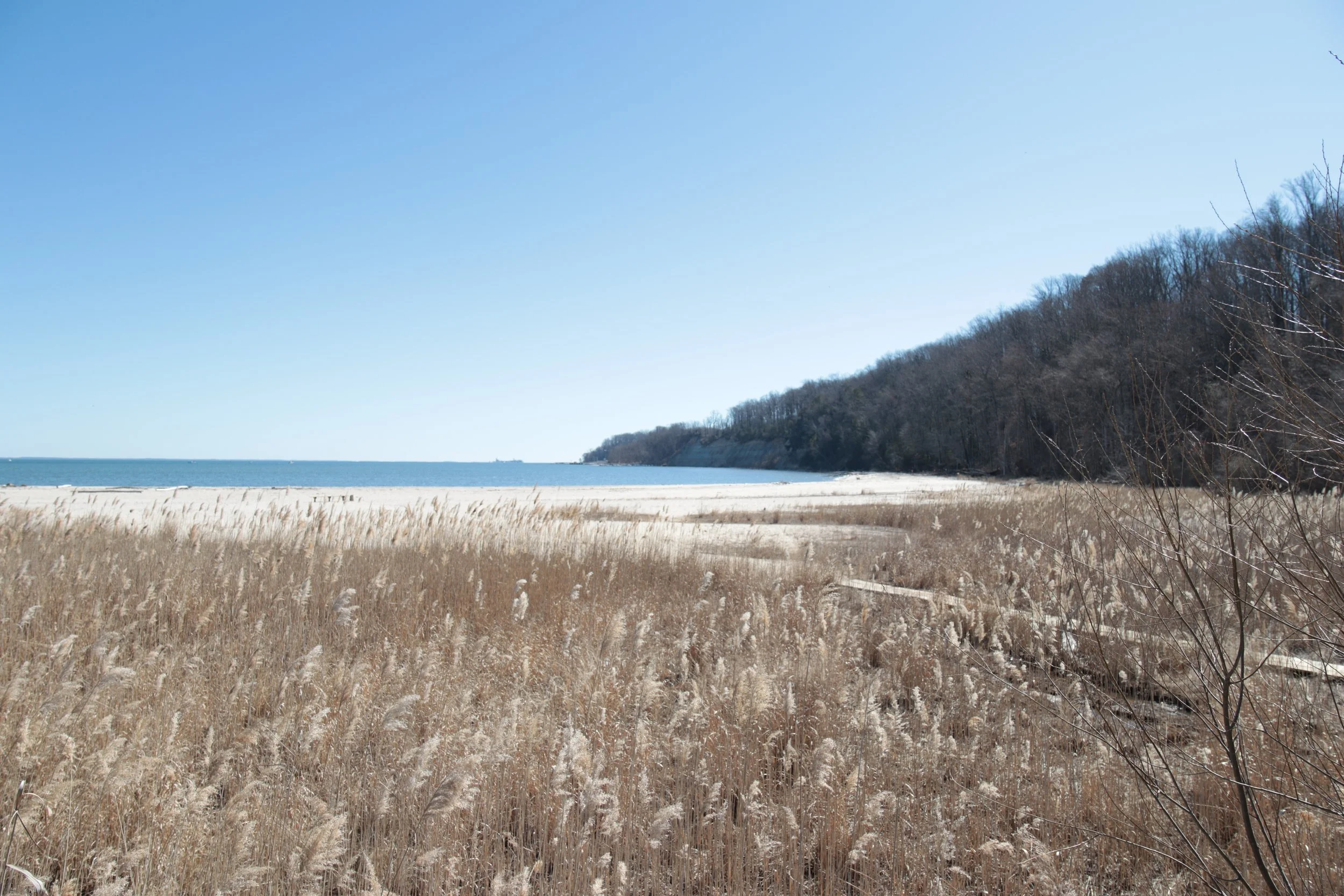 Frog Ponds Nature Park