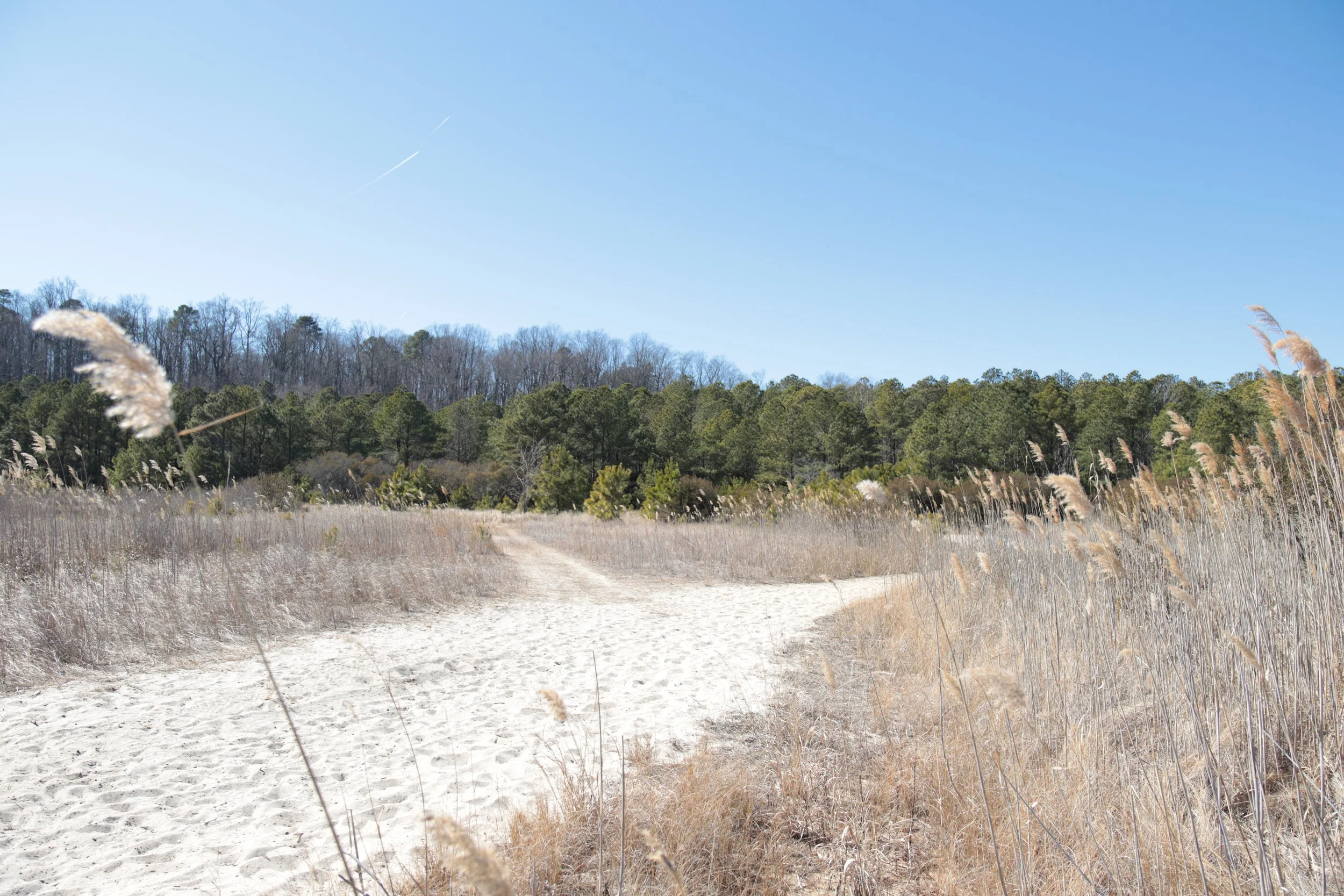 IMG_4743.JPG