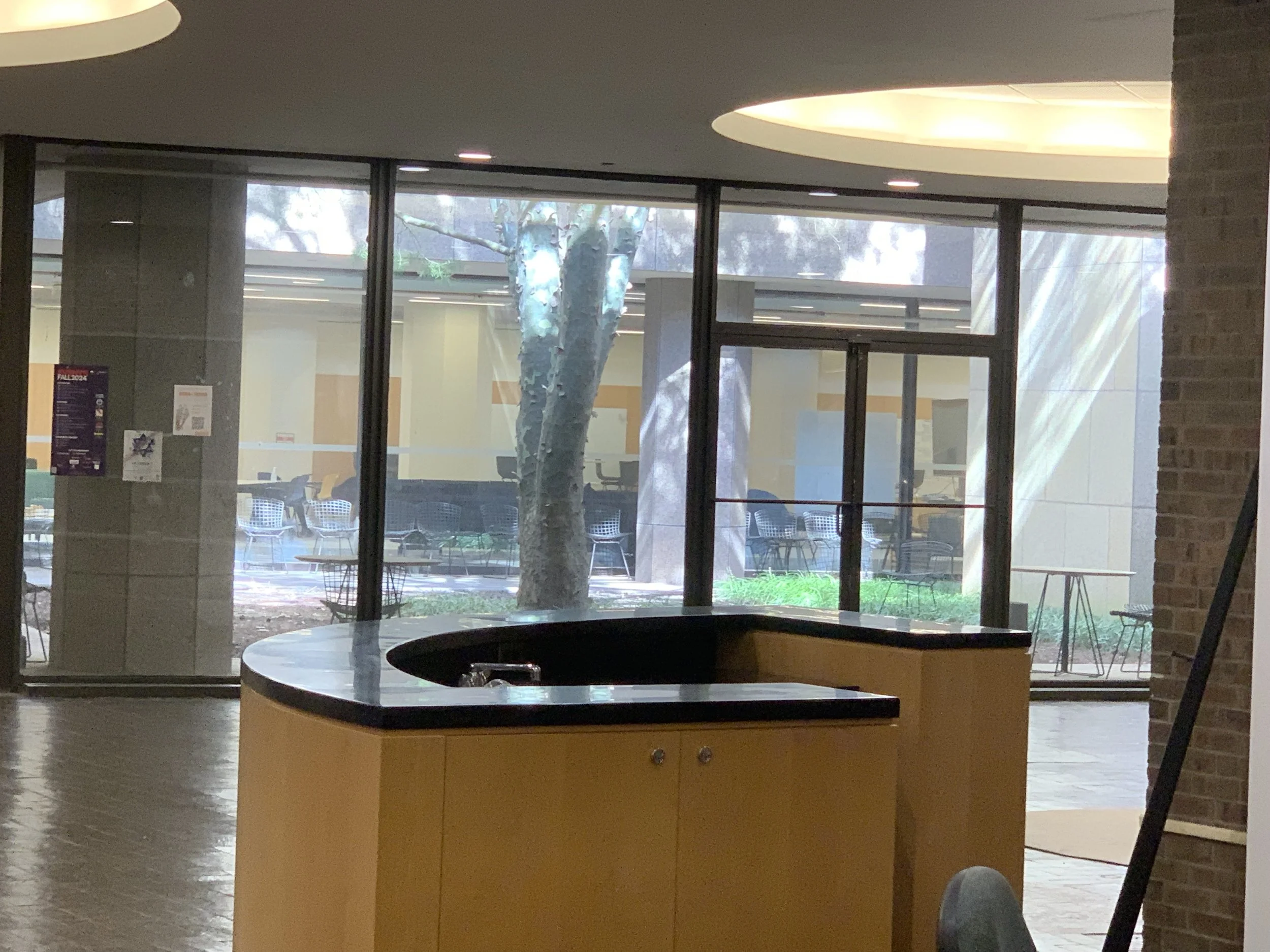 IMG_1802.jpeg