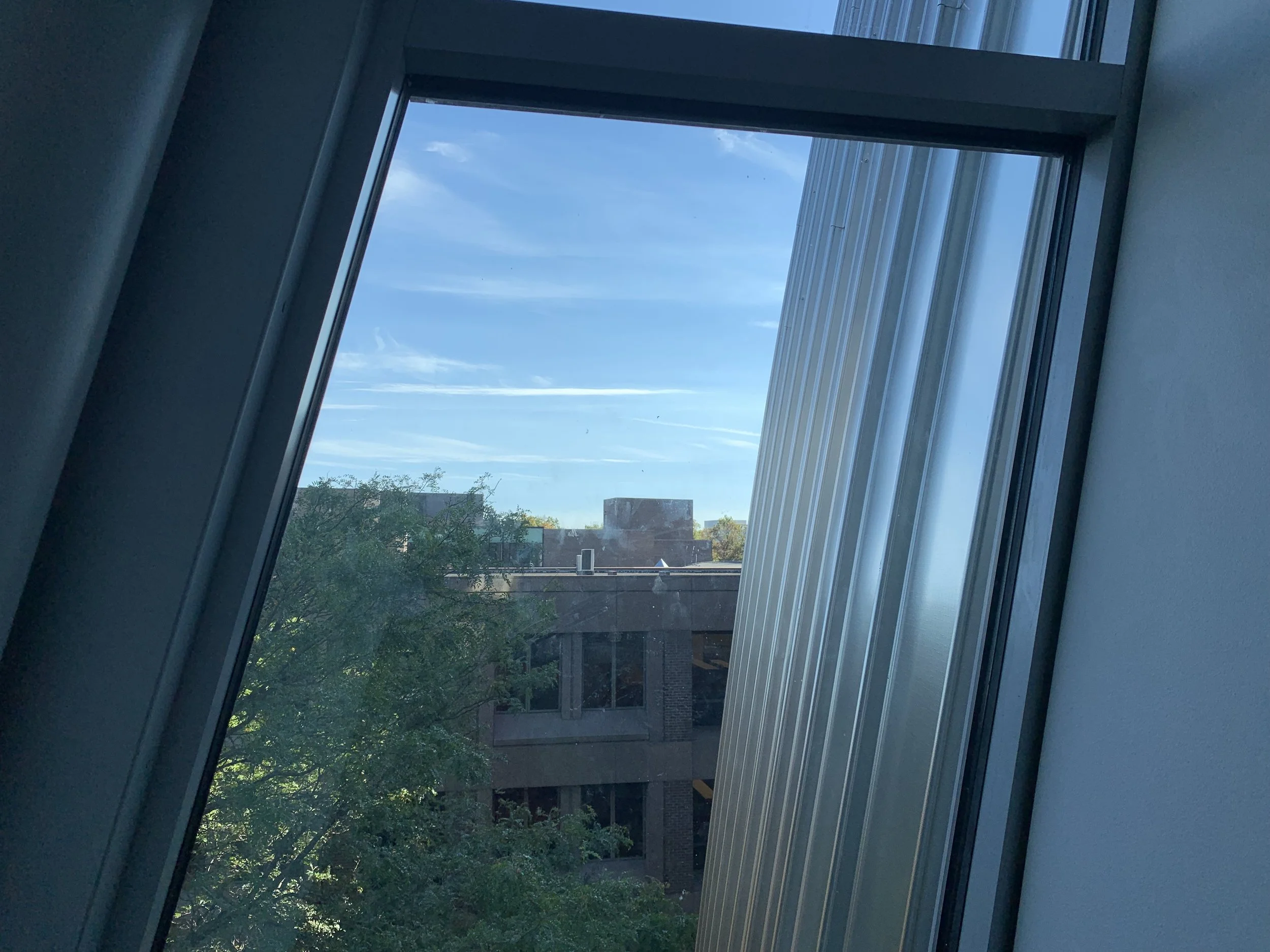 IMG_1866.jpeg