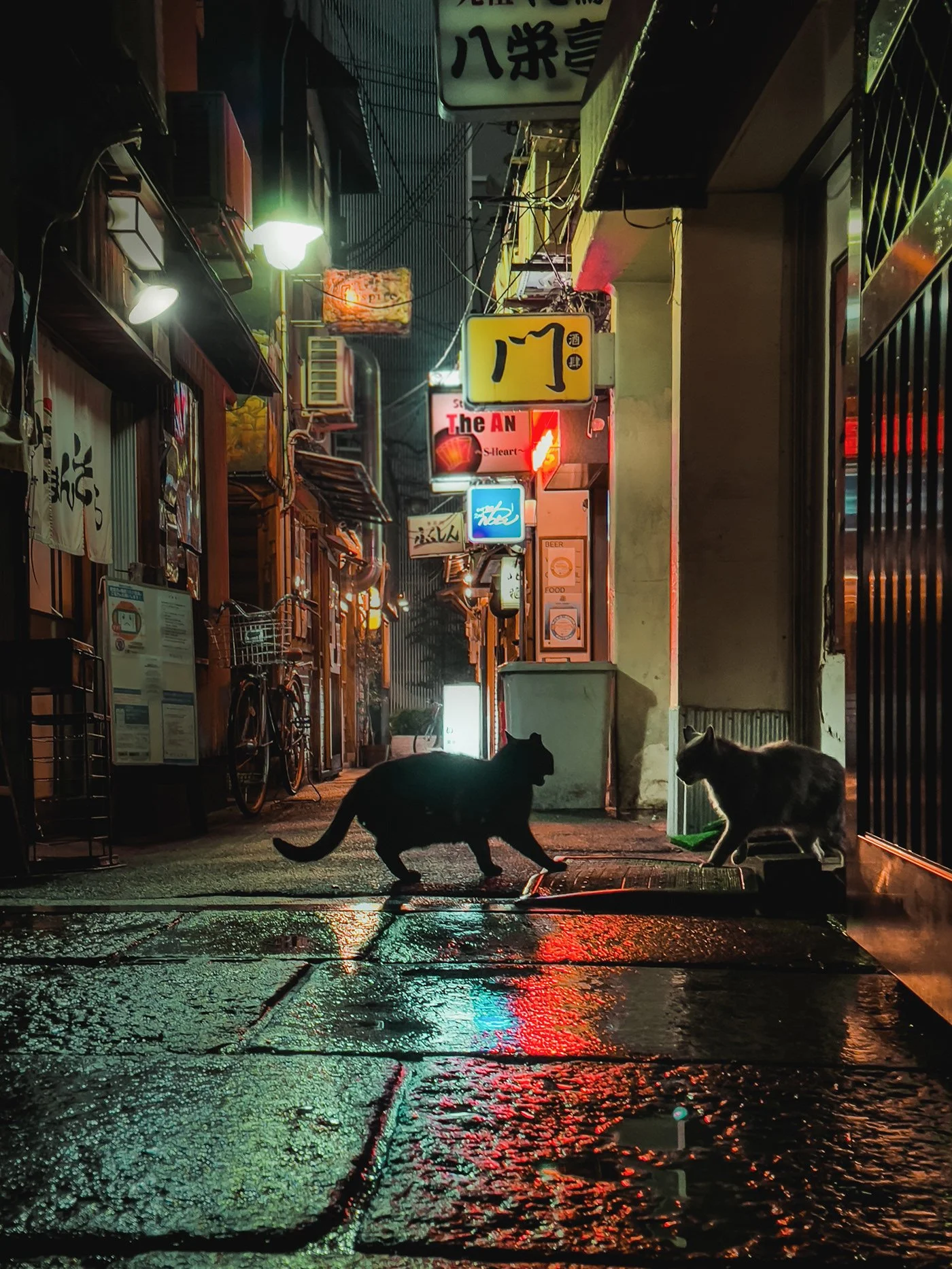 Day 3 - Short Story Collection: City Cat 10 - Part 1