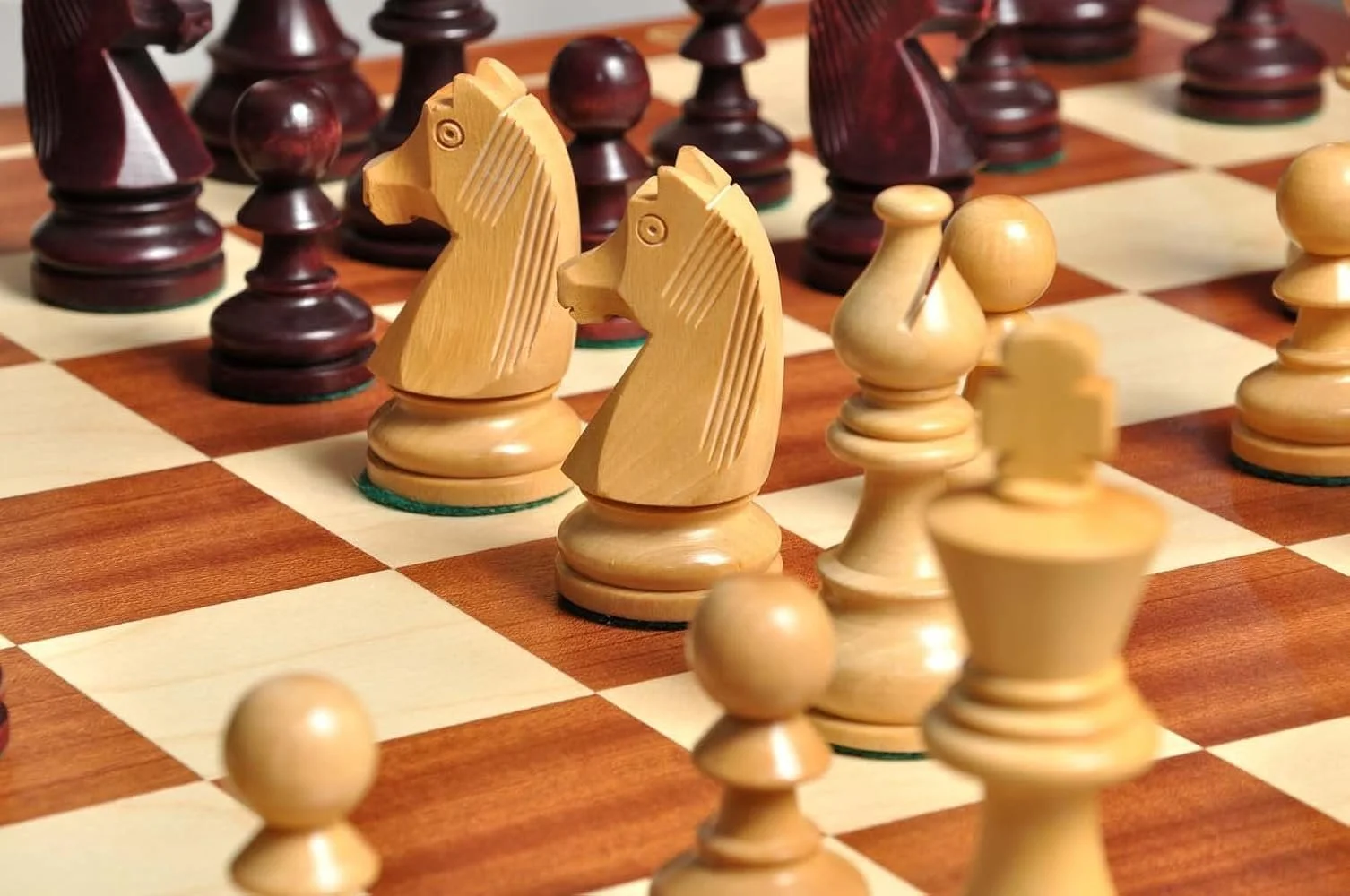 Day 4 - (Technical Difficulties) Book Project; Chess Studies: Lessons in Defeat