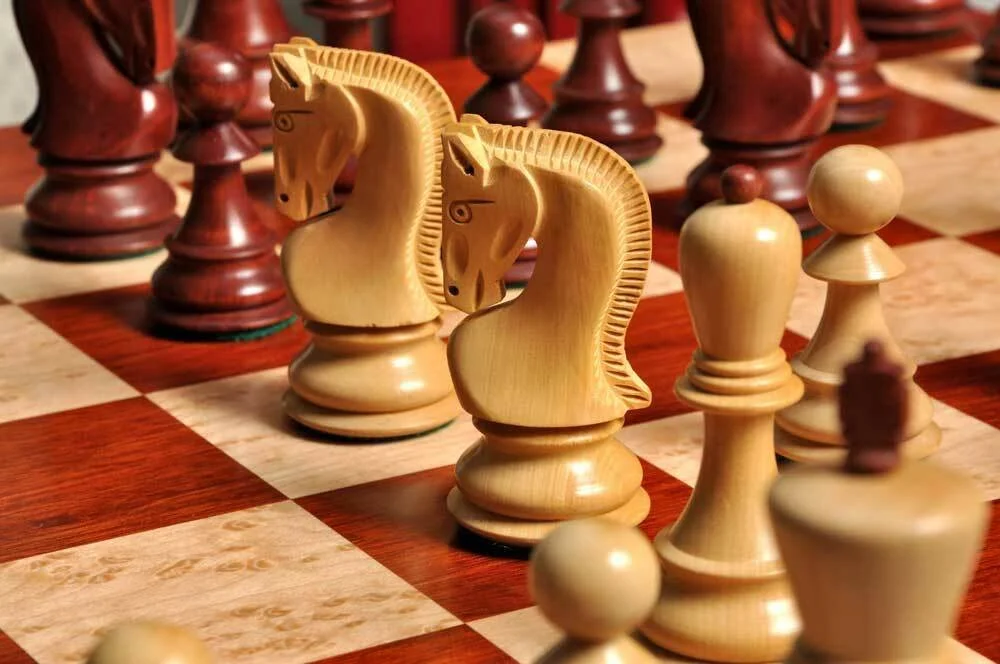 Day 5 - (Resolved Technical Difficulties) Book Project; Chess Studies: Lessons in Defeat