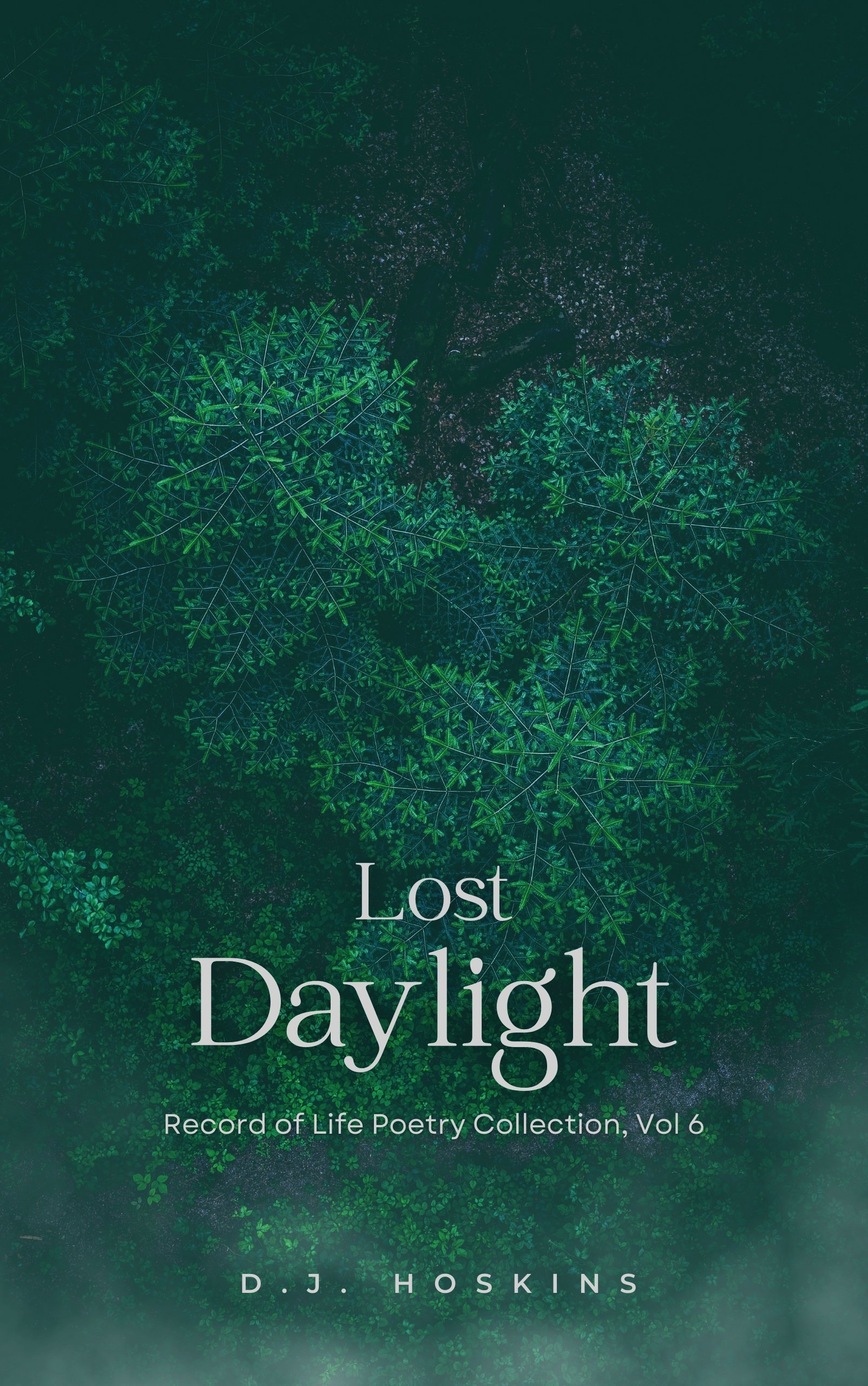 Lost-Daylight-Kindle.jpg