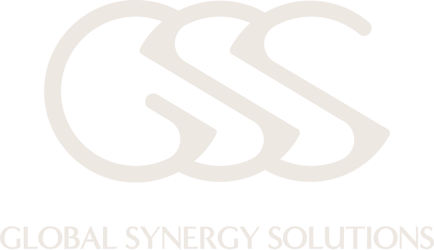 Global Synergy Solutions