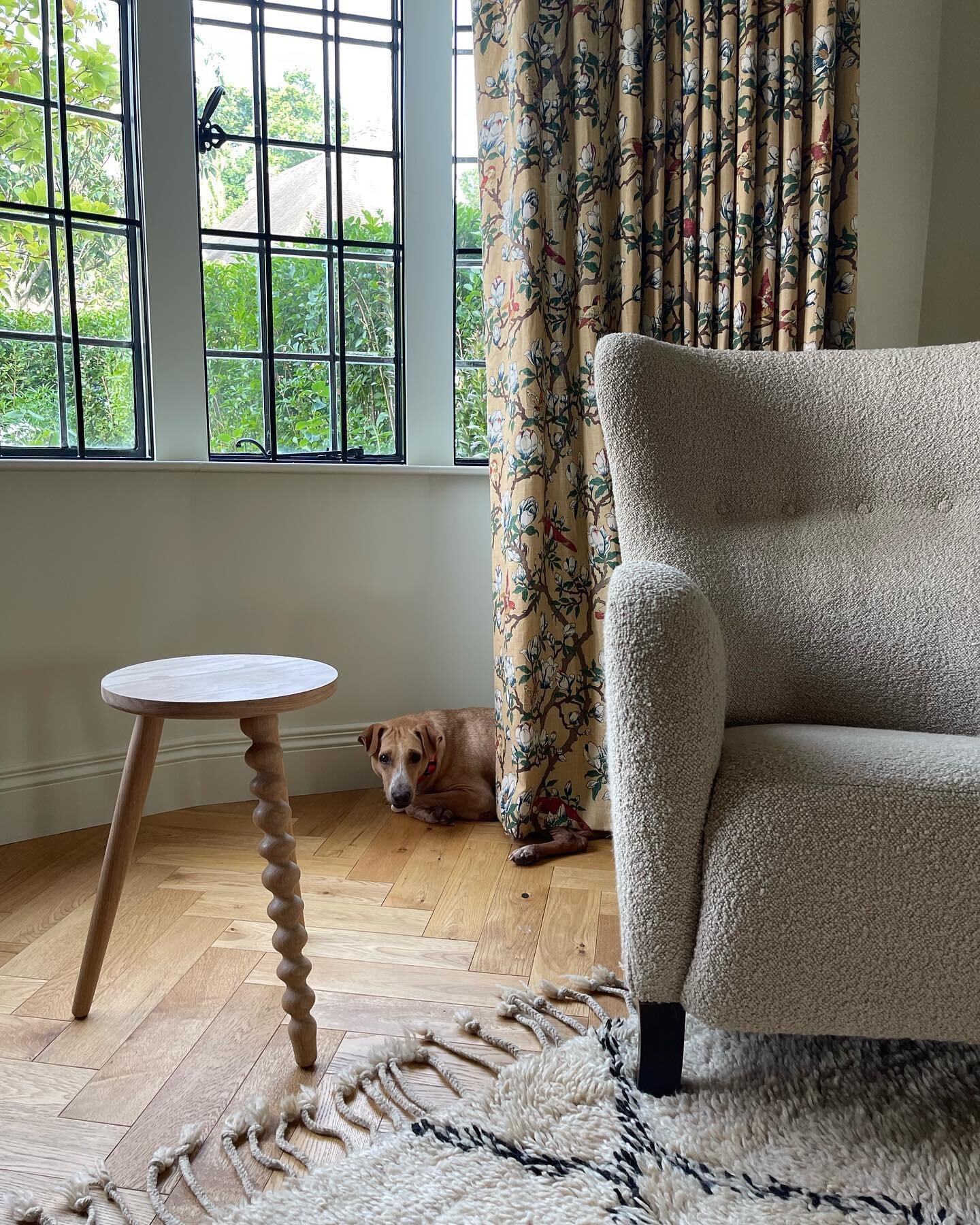 Lovely day photographing this Hampstead interiors and garden project completed in collaboration with @rhianneddbrookedesign. The gorgeous @moritzlondon was very shy at first but came out of his shell just enough to pose beautifully in a couple of sho