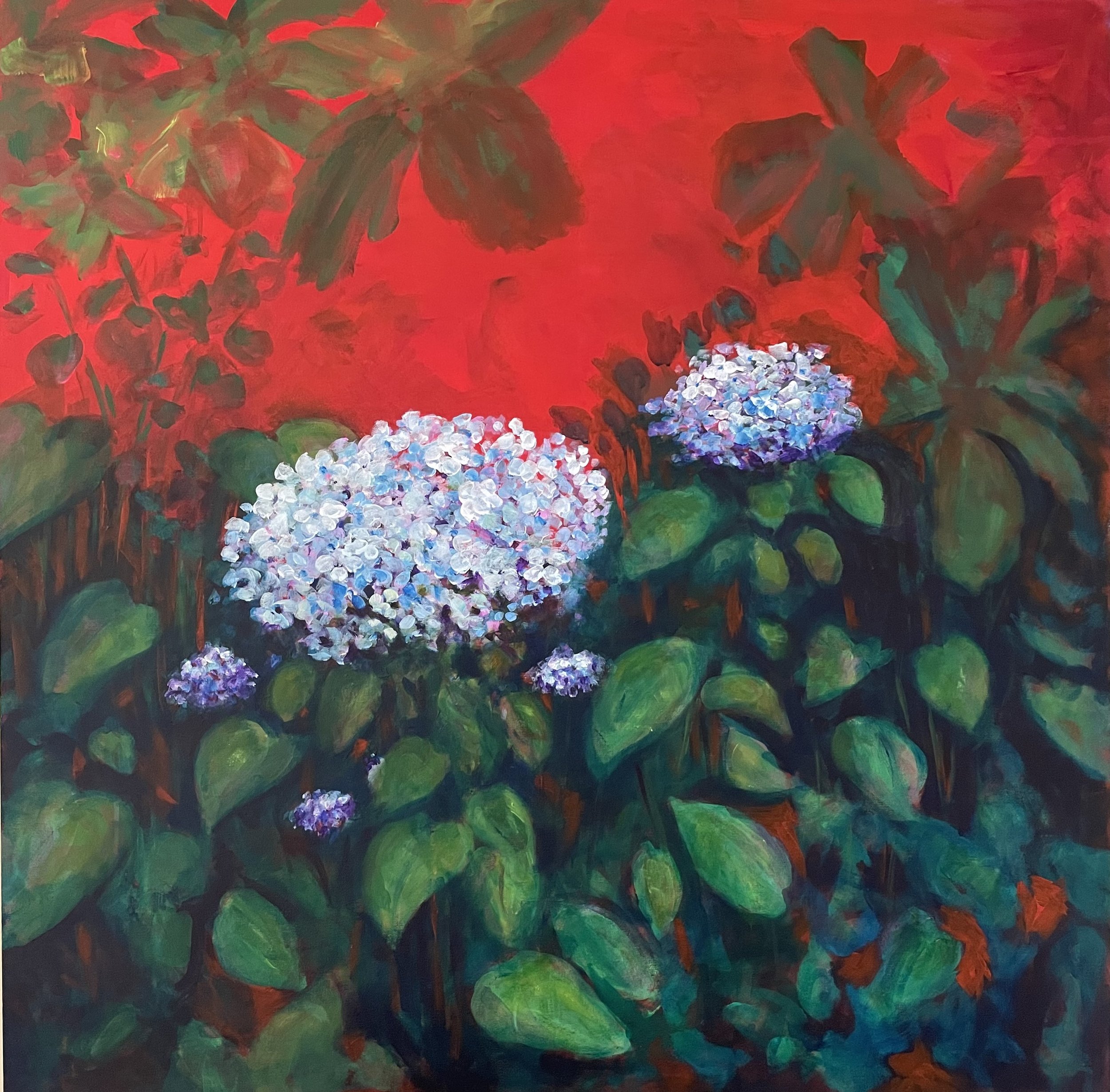 Hydrangea in the garden