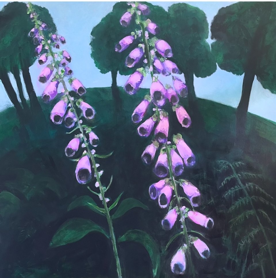 Foxgloves in Beeston Common