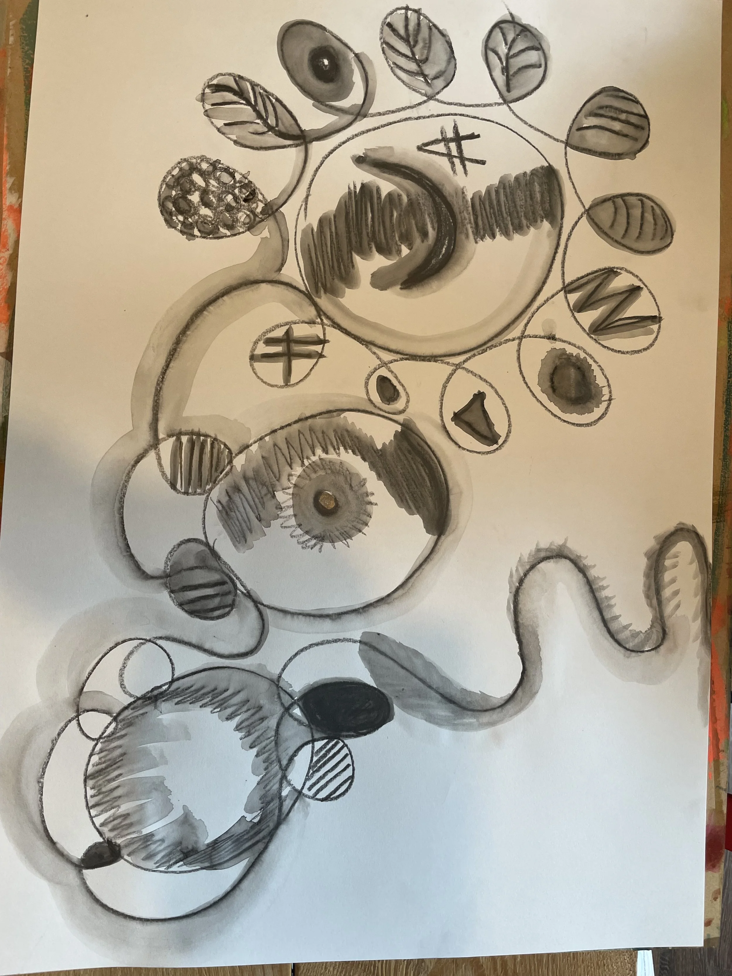 IMG_1354.jpeg