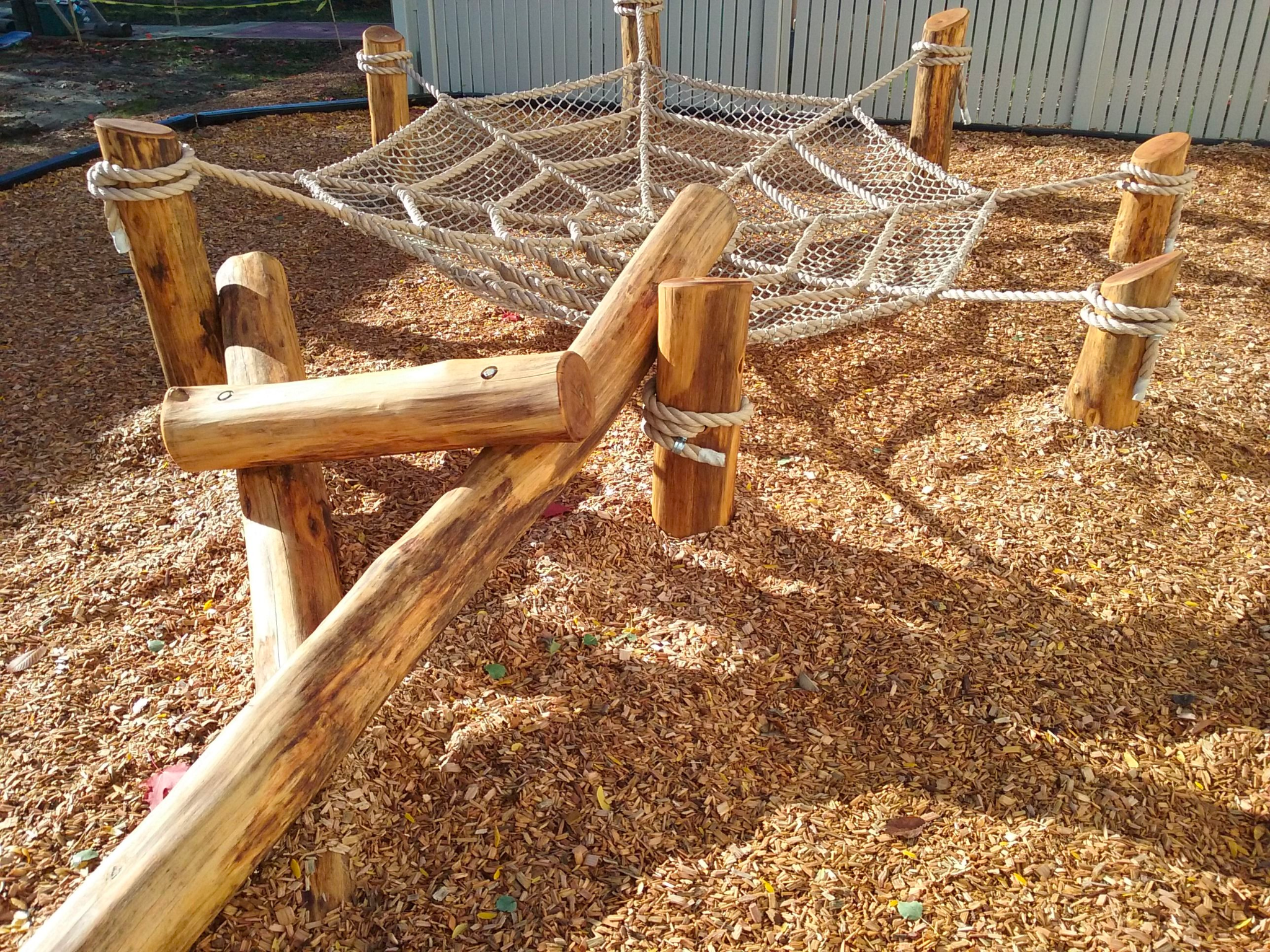 black-locust-playground.png