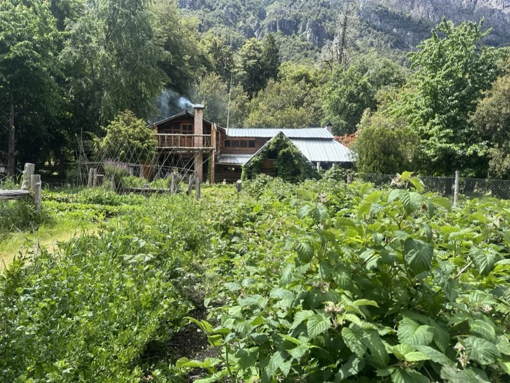 Why Not Permaculture? 