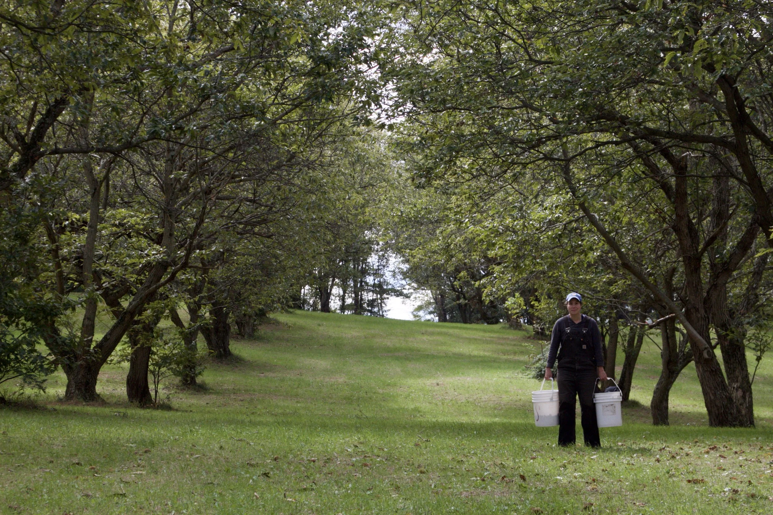 _MG_2227.jpeg Eliza.jpeg