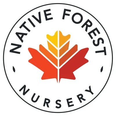 native_forest_nursery_new_york_logo.jpeg