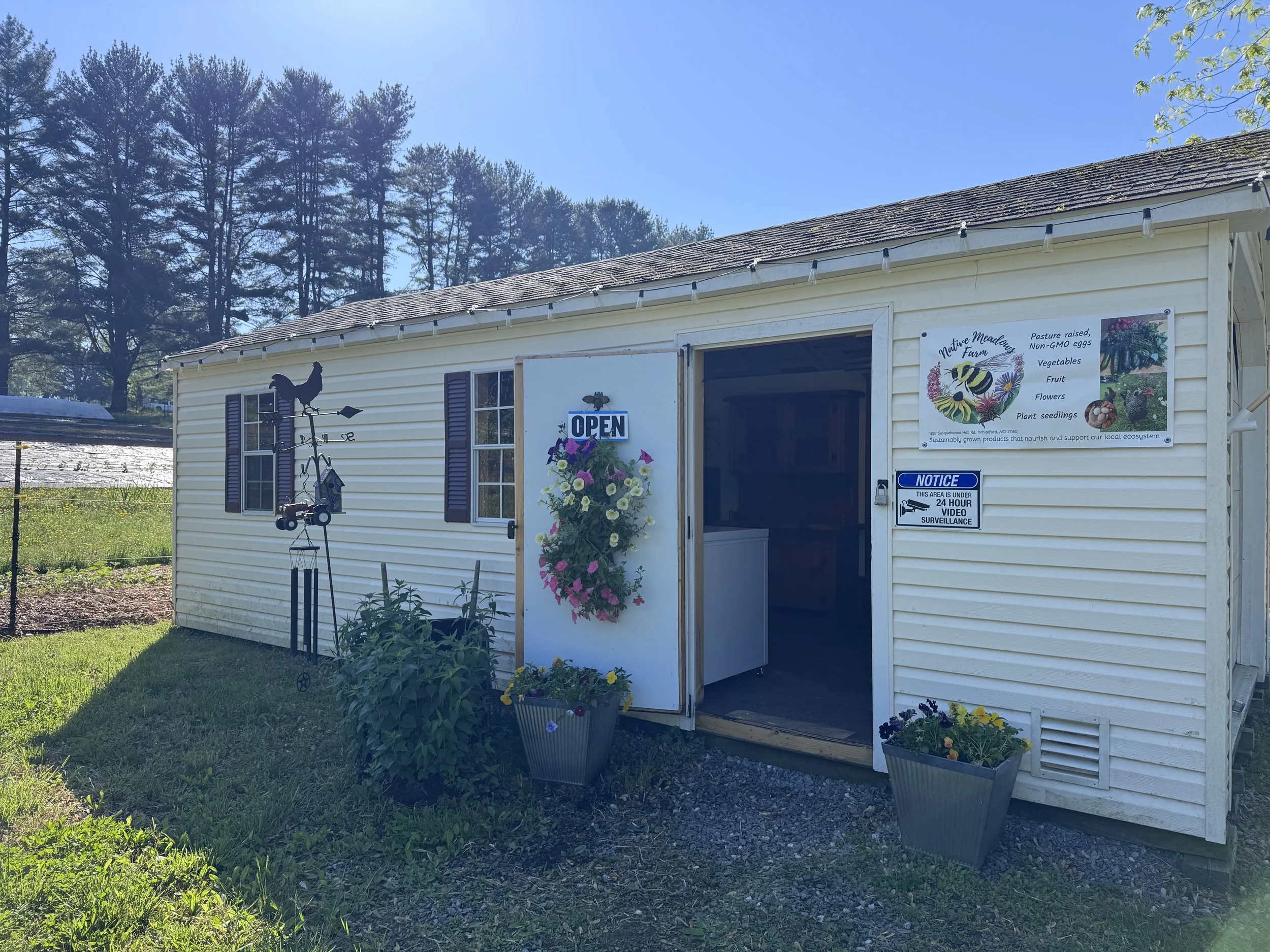 A small light yellow building with a sloped roof, open door, and two windows with dark shutters. There is an 'Open' sign hanging outside, and the building has a sign displaying information about the farm, including eggs, vegetables, fruit, flowers, and plant seedlings. Several potted plants and flowers are in front of the building, and a weather vane is mounted on the wall near the windows. The background shows a clear blue sky and tall trees.
