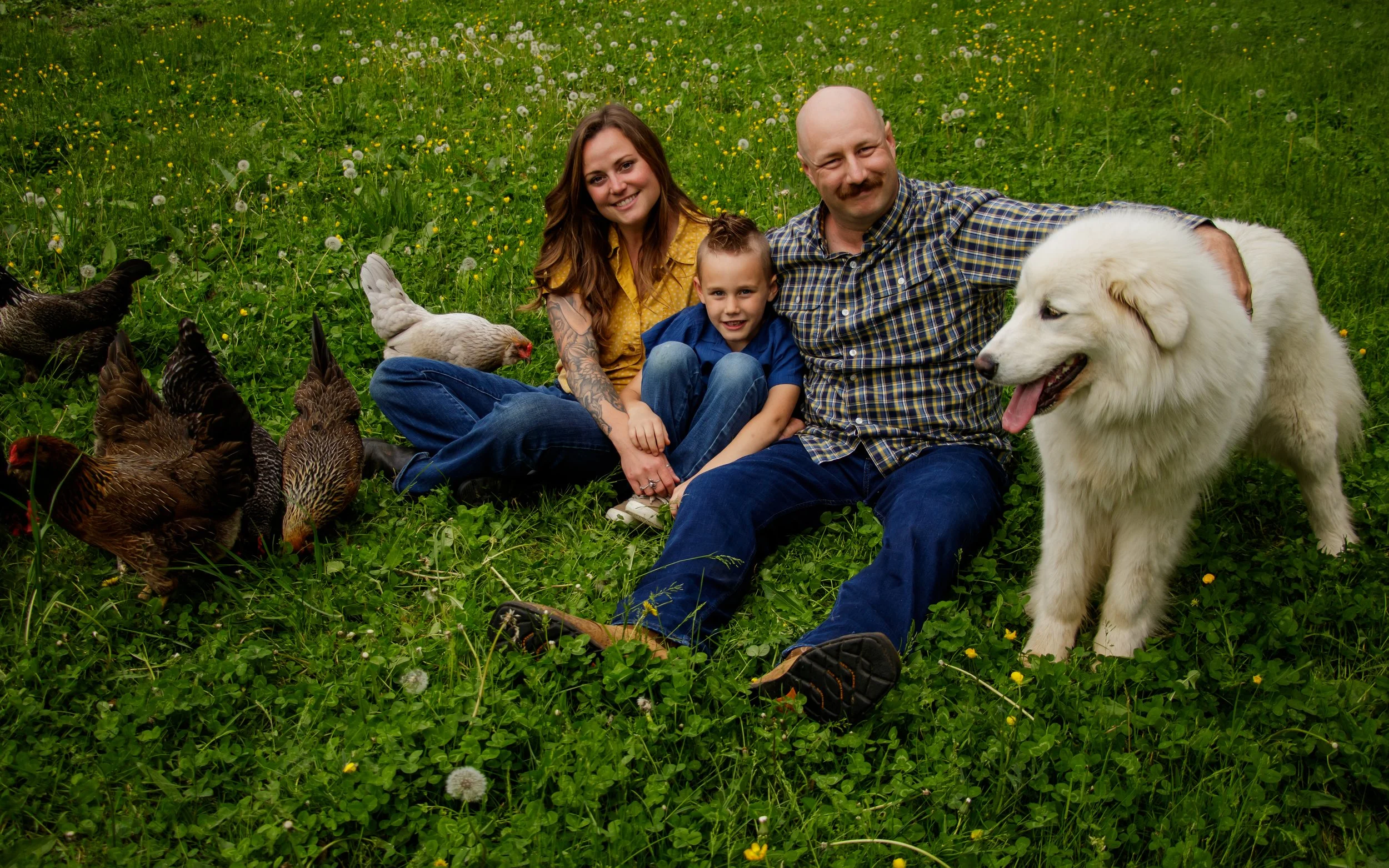 A family of three sitting on grass in a field, surrounded by chickens, with a large white dog nearby. The woman has long brown hair and tattoos on her arm, the man has a bald head and a mustache, and the young boy has short hair. The scene appears cheerful and peaceful.