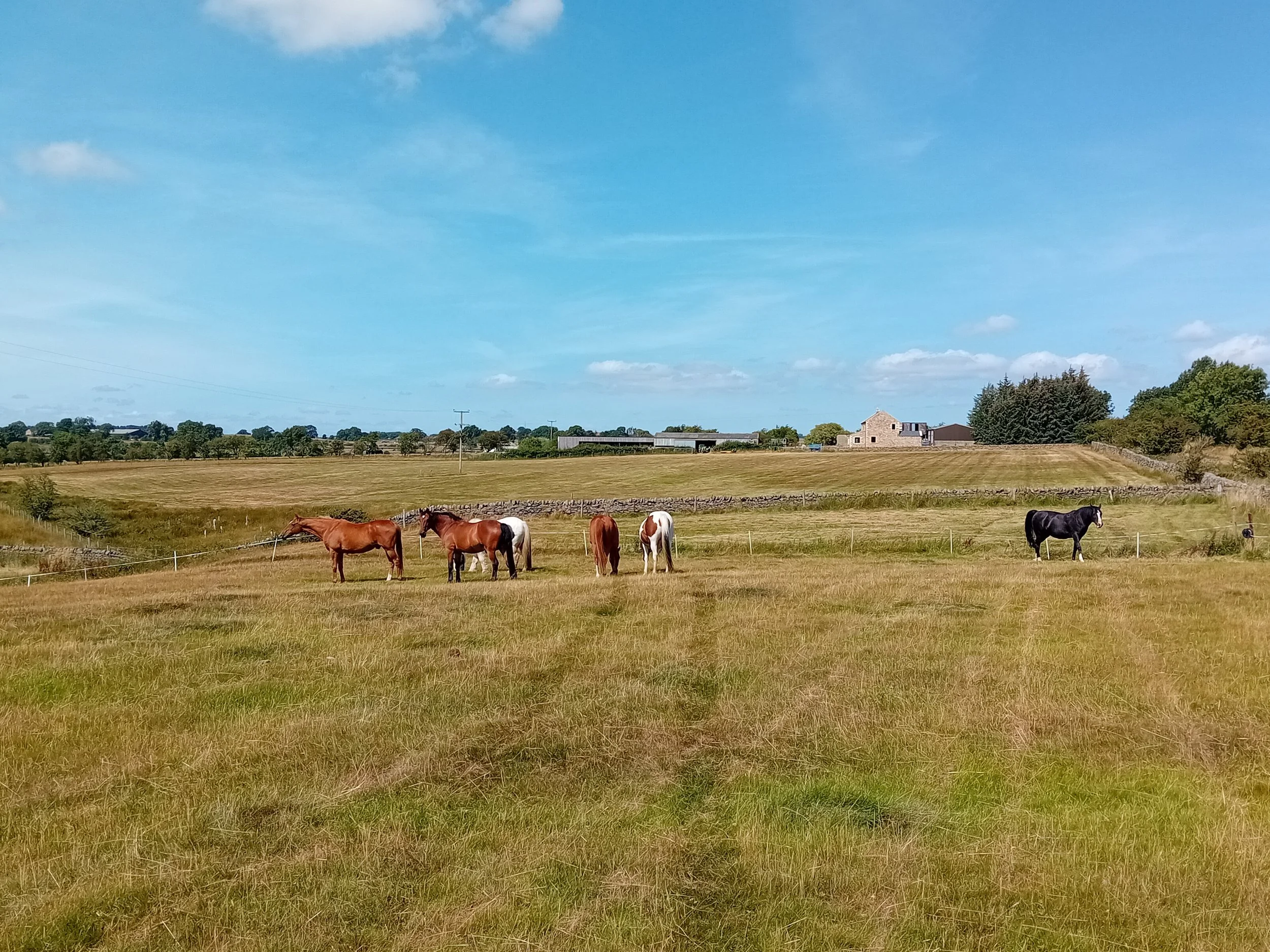 Enjoying thr sun at Percy Beck.jpg