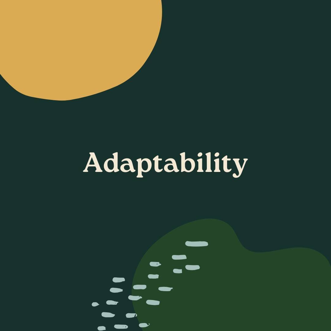 What does it look like to live in a VUCA (Volatility, Uncertainty, Complexity, Ambiguity) and BANI (Brittle, Anxious, Non-linear, Incomprehensible) world? ⁠
⁠
At Terra School, we prepare students to adapt and embrace living in the world. We emphasize